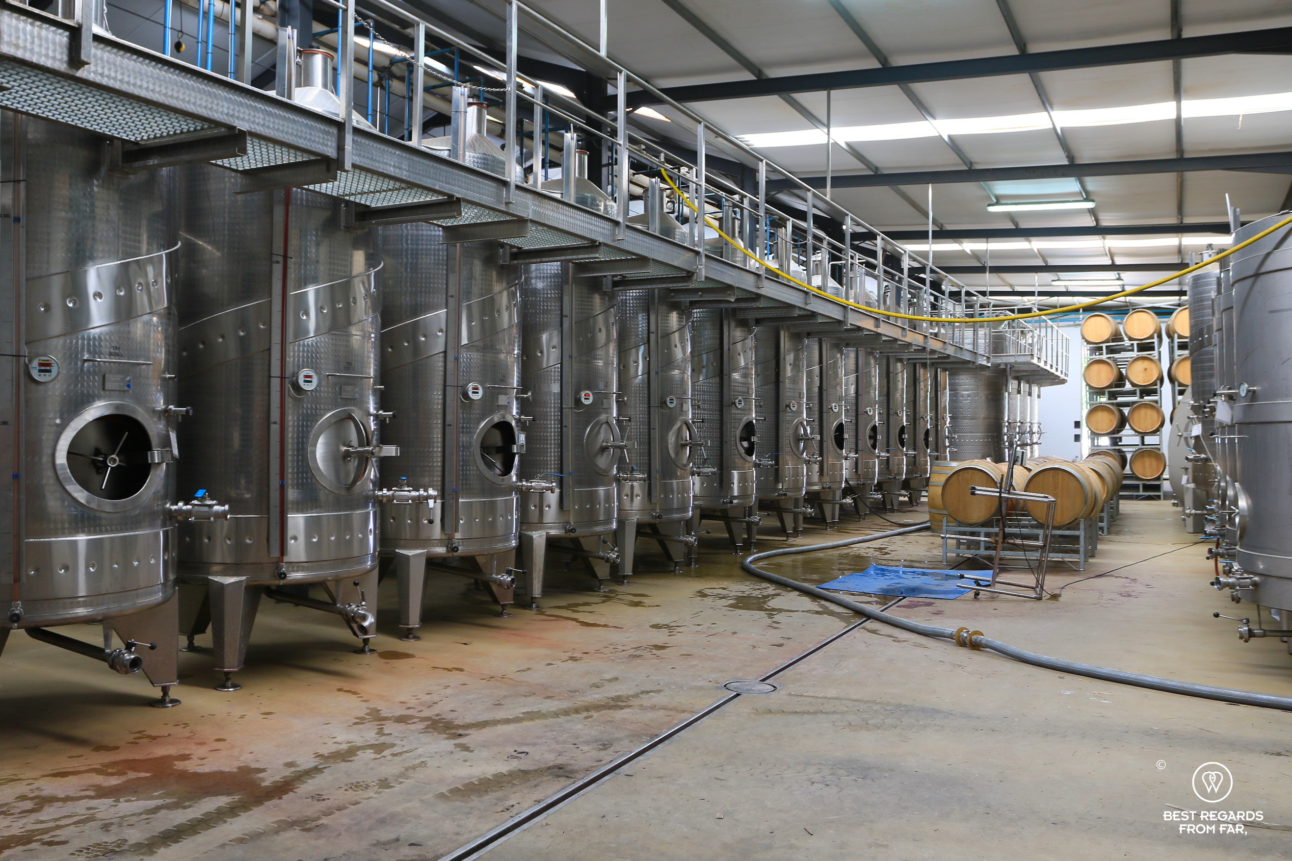 The wine making at Cederberg Wines, South Africa