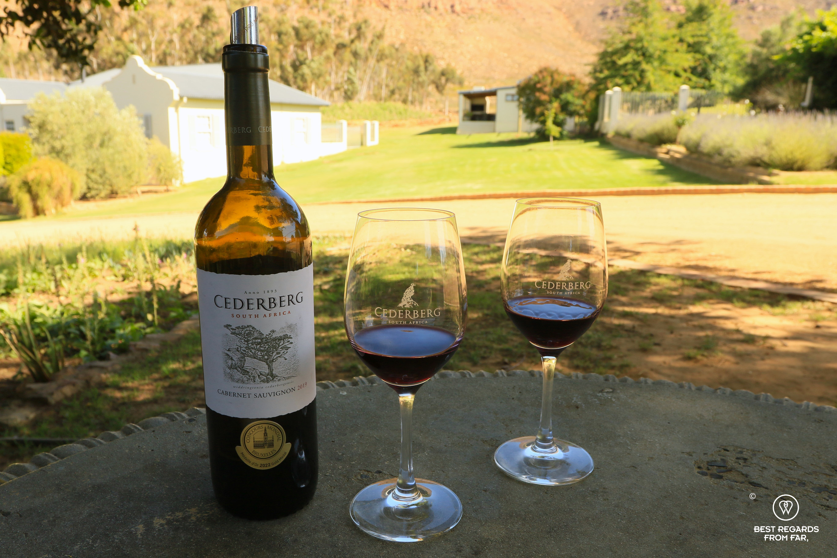 Wine tasting with a bottle and two glasses at Cederberg Wines, South Africa