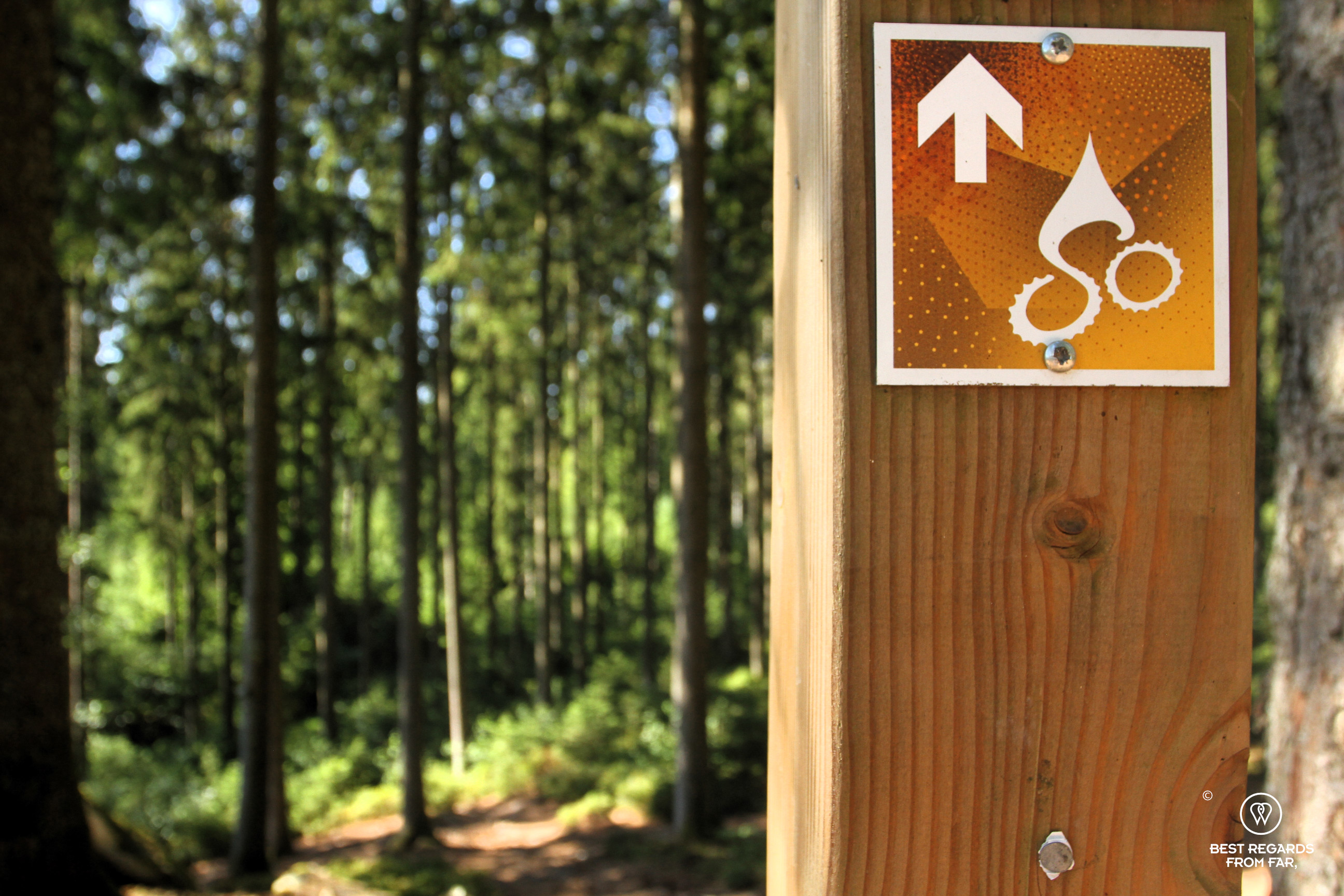 Following the Stoneman Arduenna, Belgium