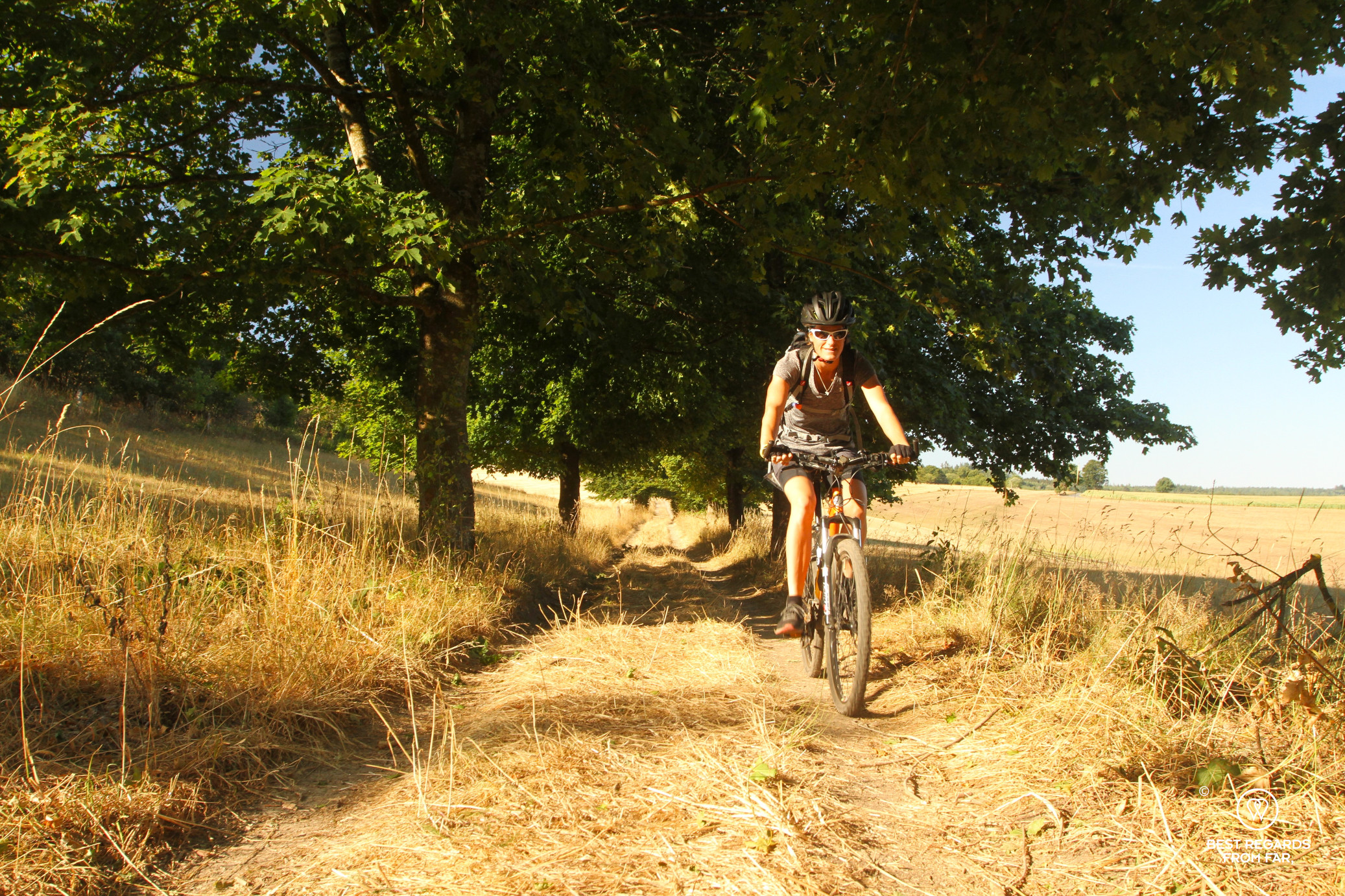 Mountain biking Stoneman Arduenna, Belgium