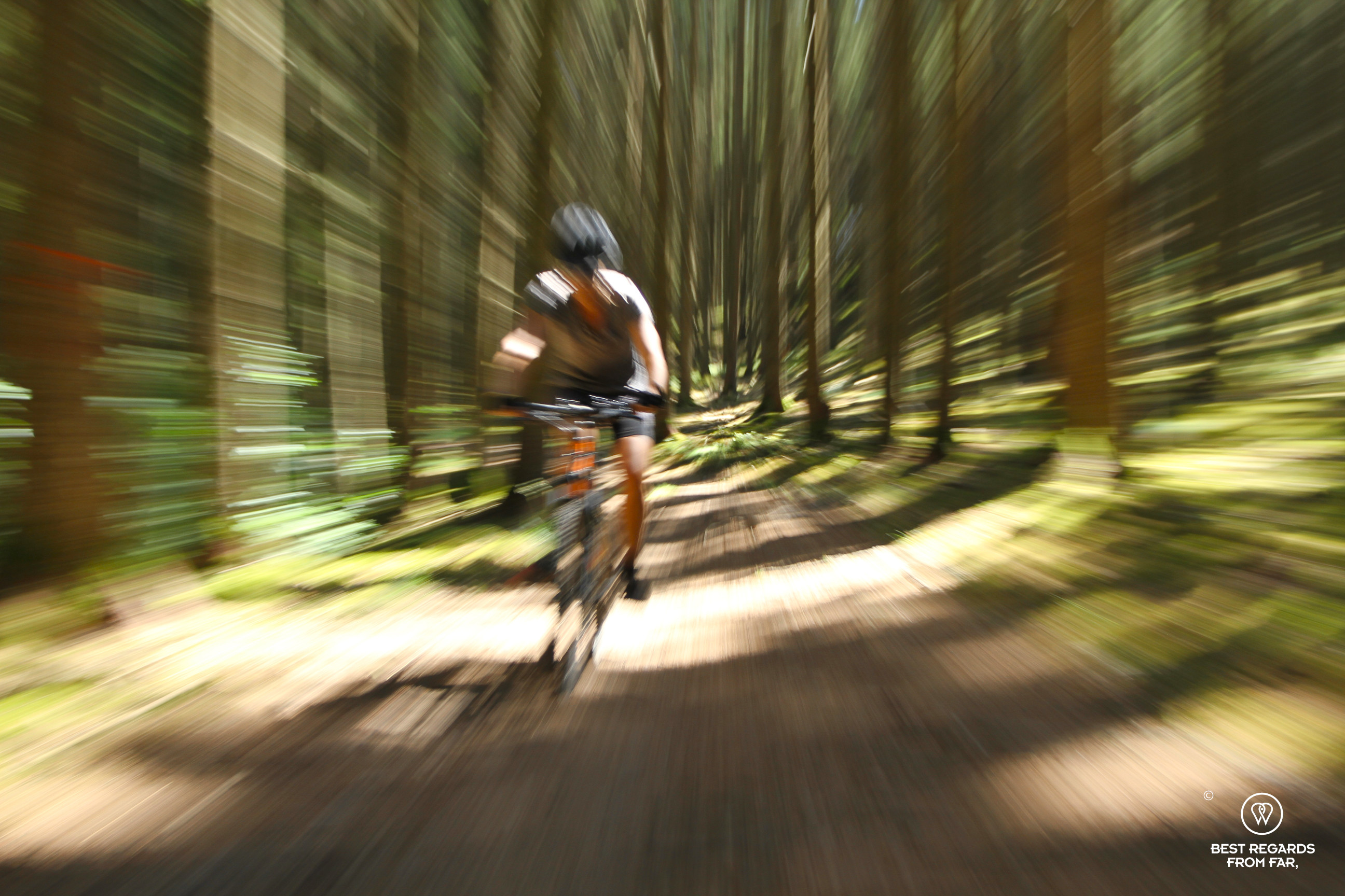 Mountain biking the Stoneman Arduenna, Belgium