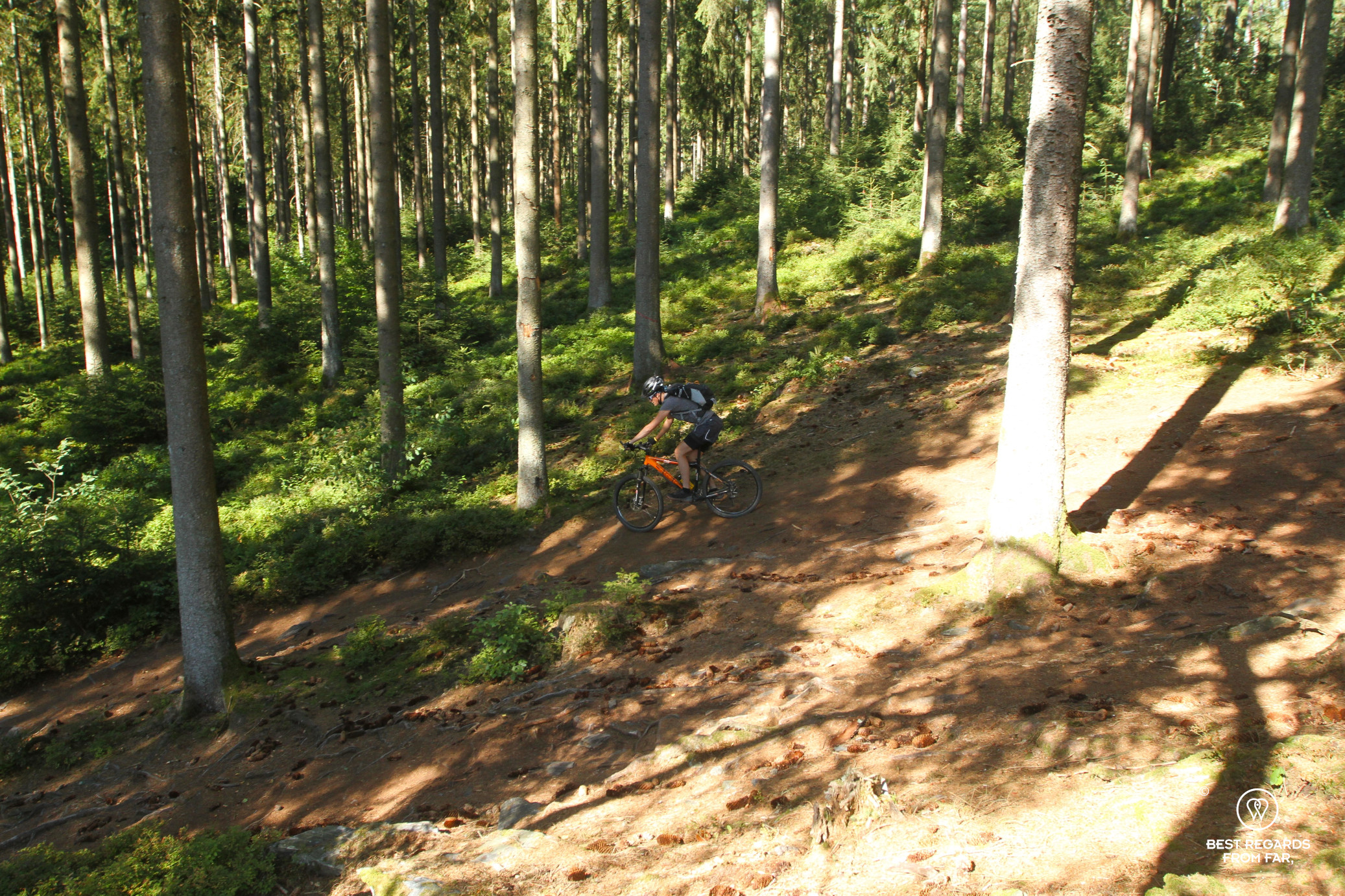Mountain biking the Stoneman Arduenna, Belgium