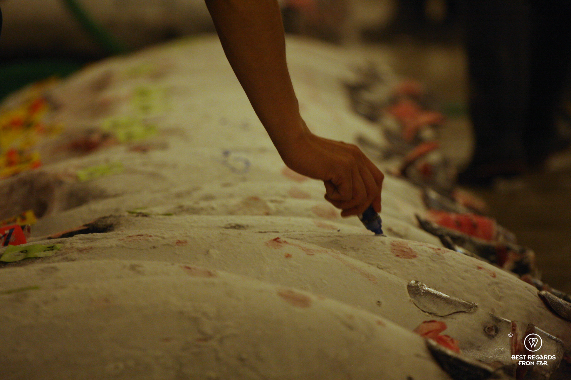 Marking tuna at the tuna auction, Tokyo Toyosu Fish Market