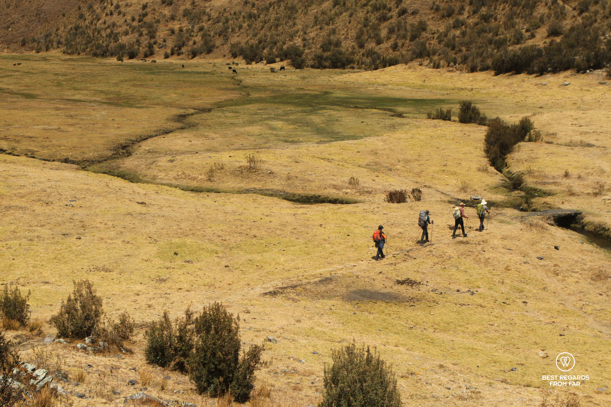 Four people crossing a valley, Cordillera Blanca, Peru