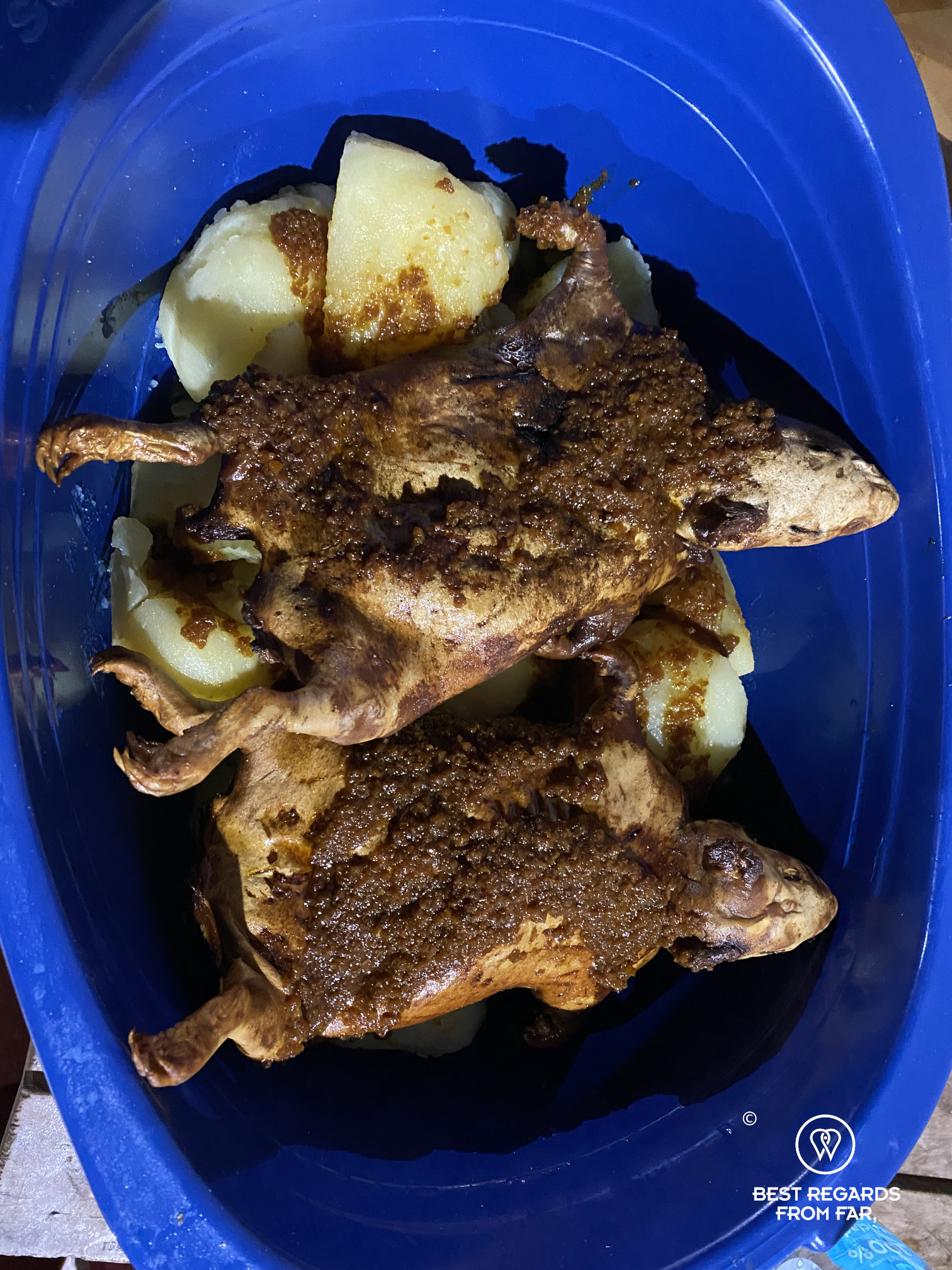 Cuy, or guinea pig, the true delicacy in Peru