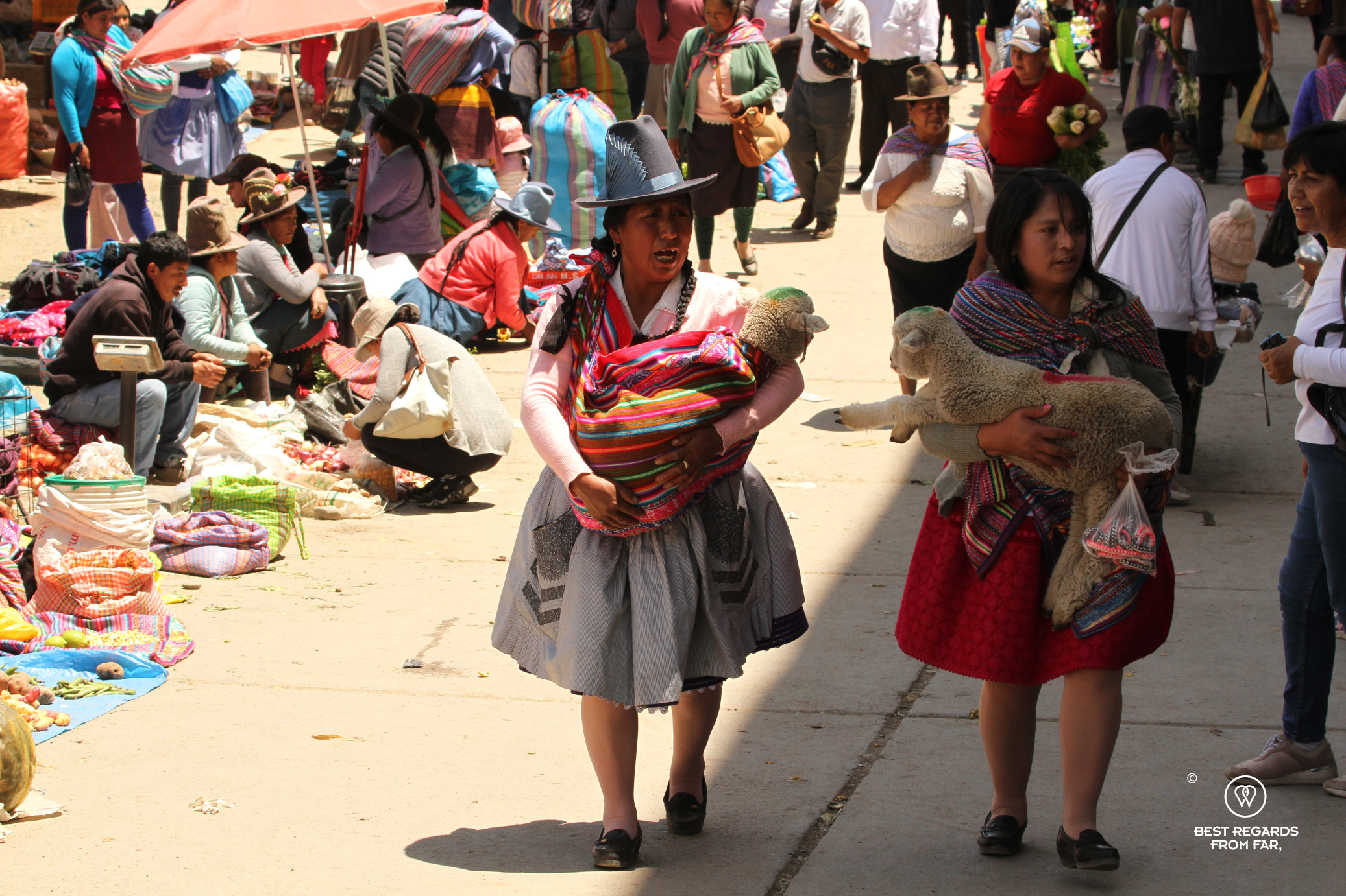 Women in traditional clothing holding lambs at the Sunday market, Carhuaz