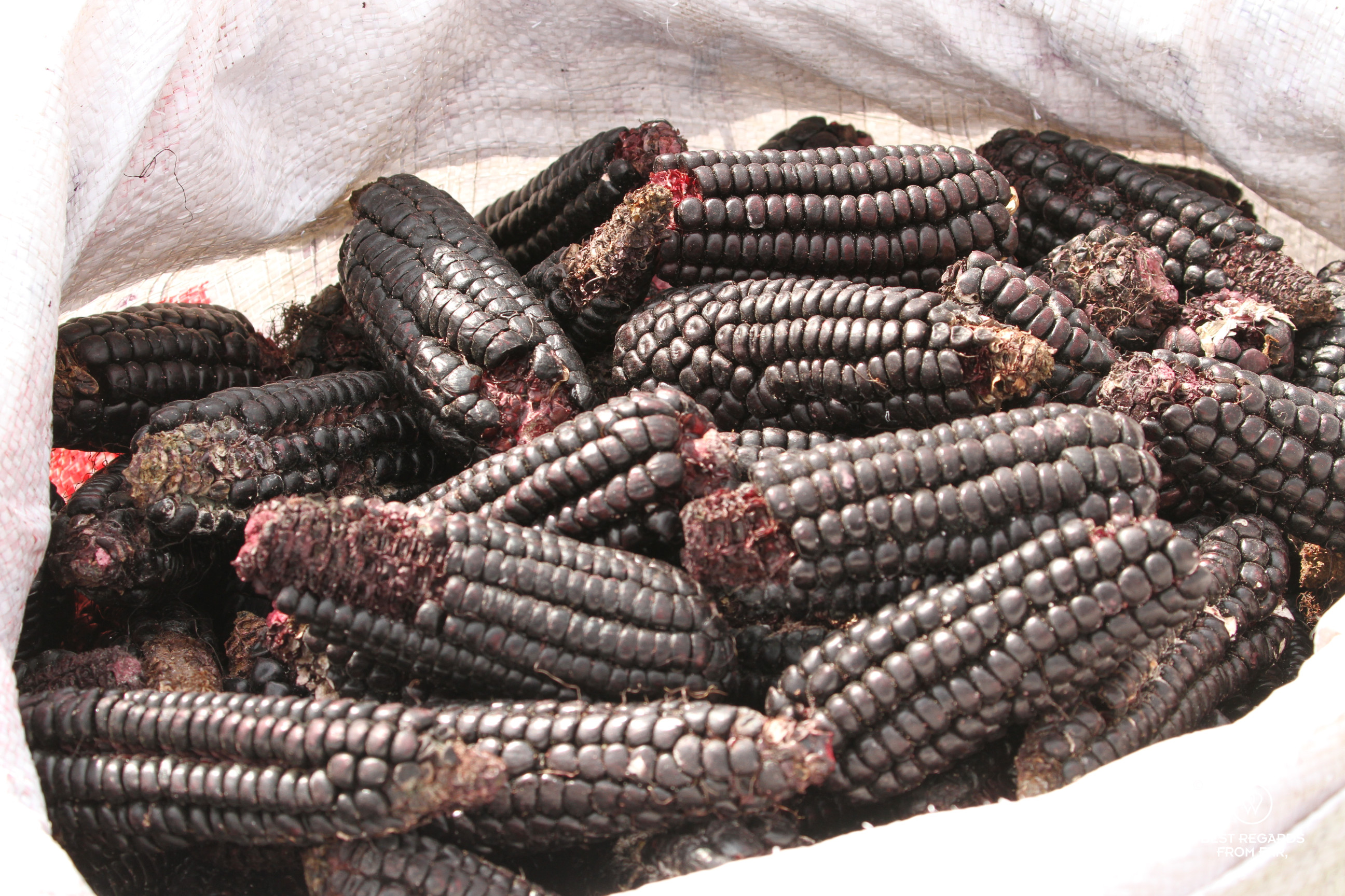 Black corn at the Sunday market in Carhuaz, Peru
