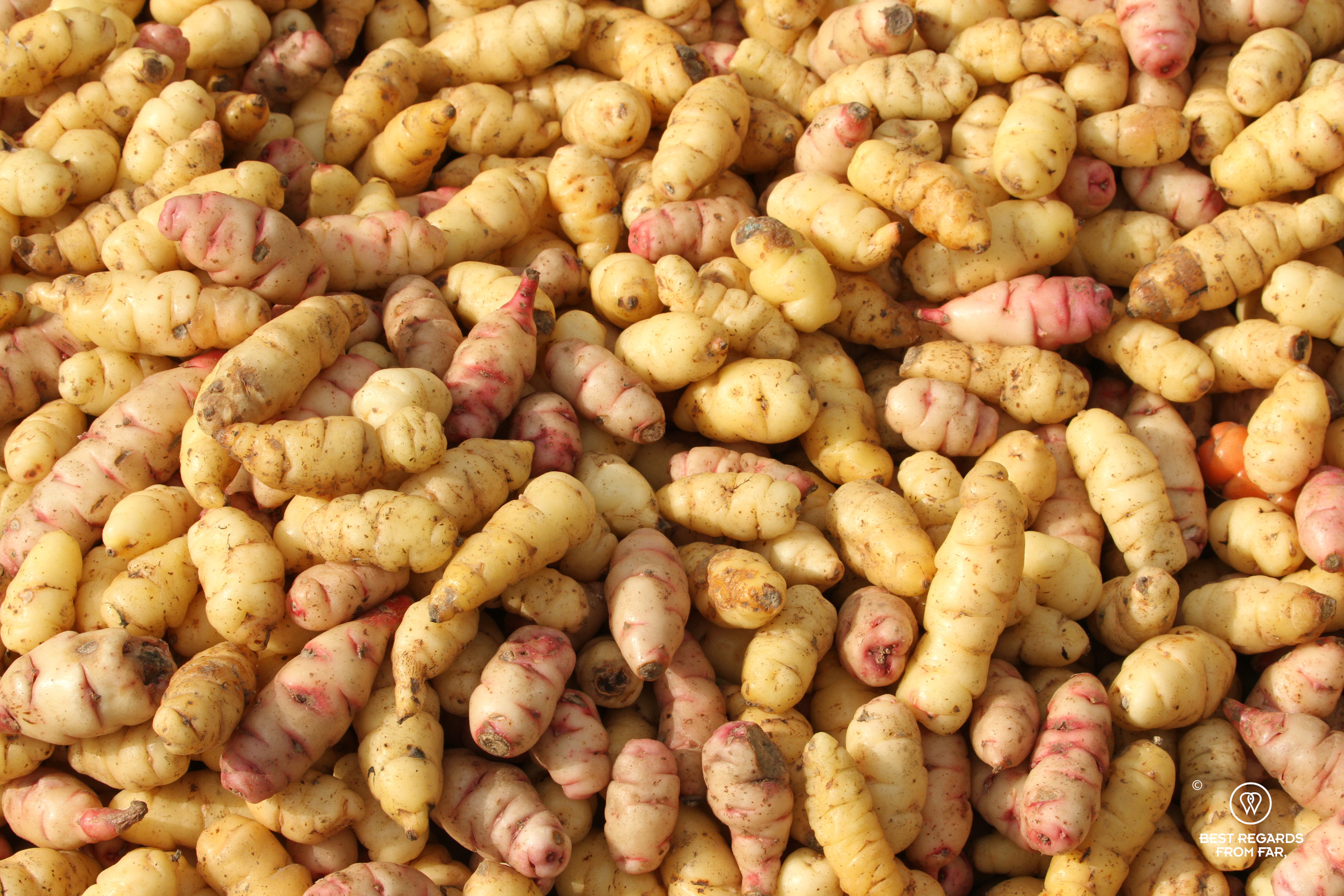 Oca, an Andean tuber crop, at the Sunday market in Carhuaz, Peru