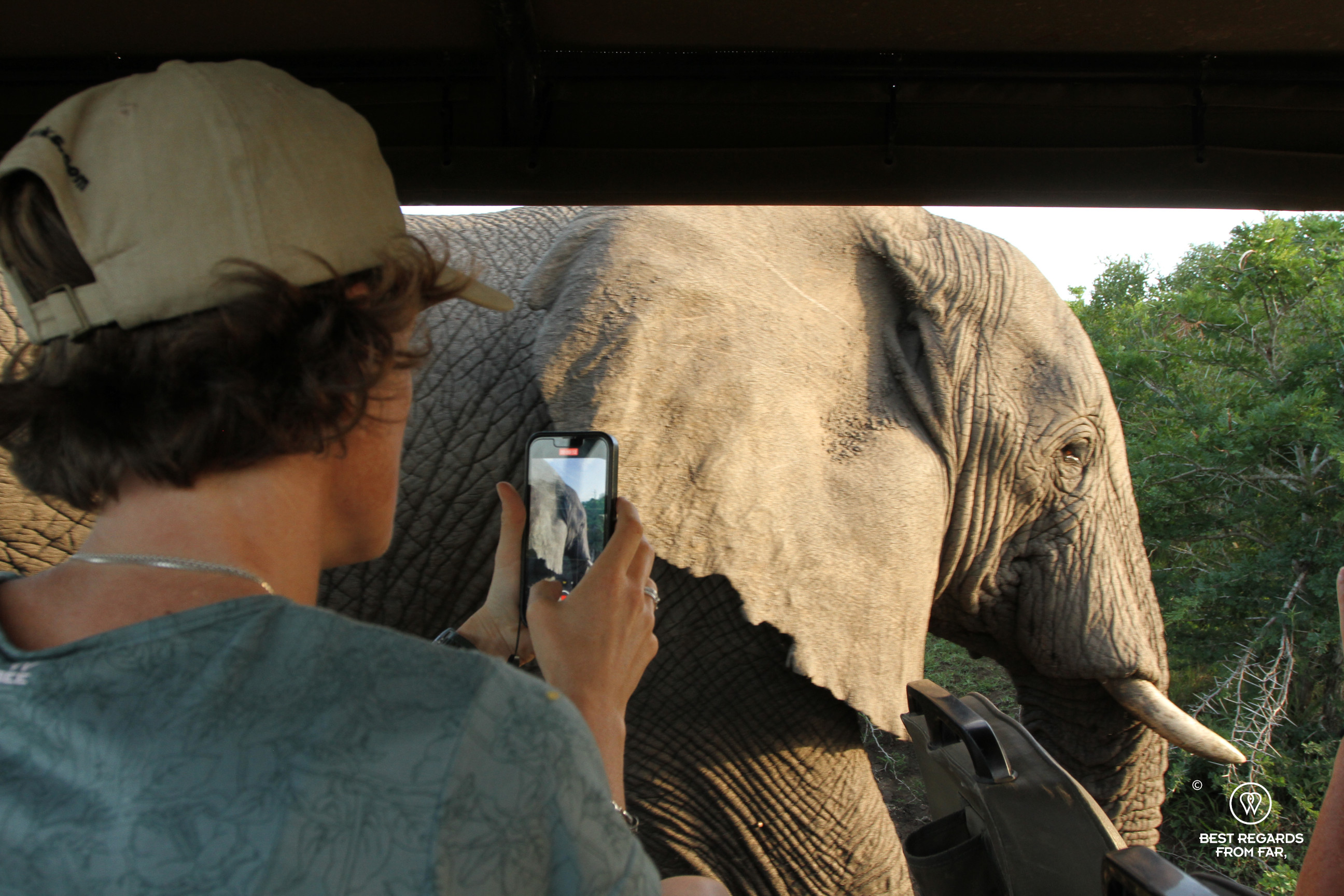 Close encounter with an African elephant at Thula Thula Game Reserve, South Africa
