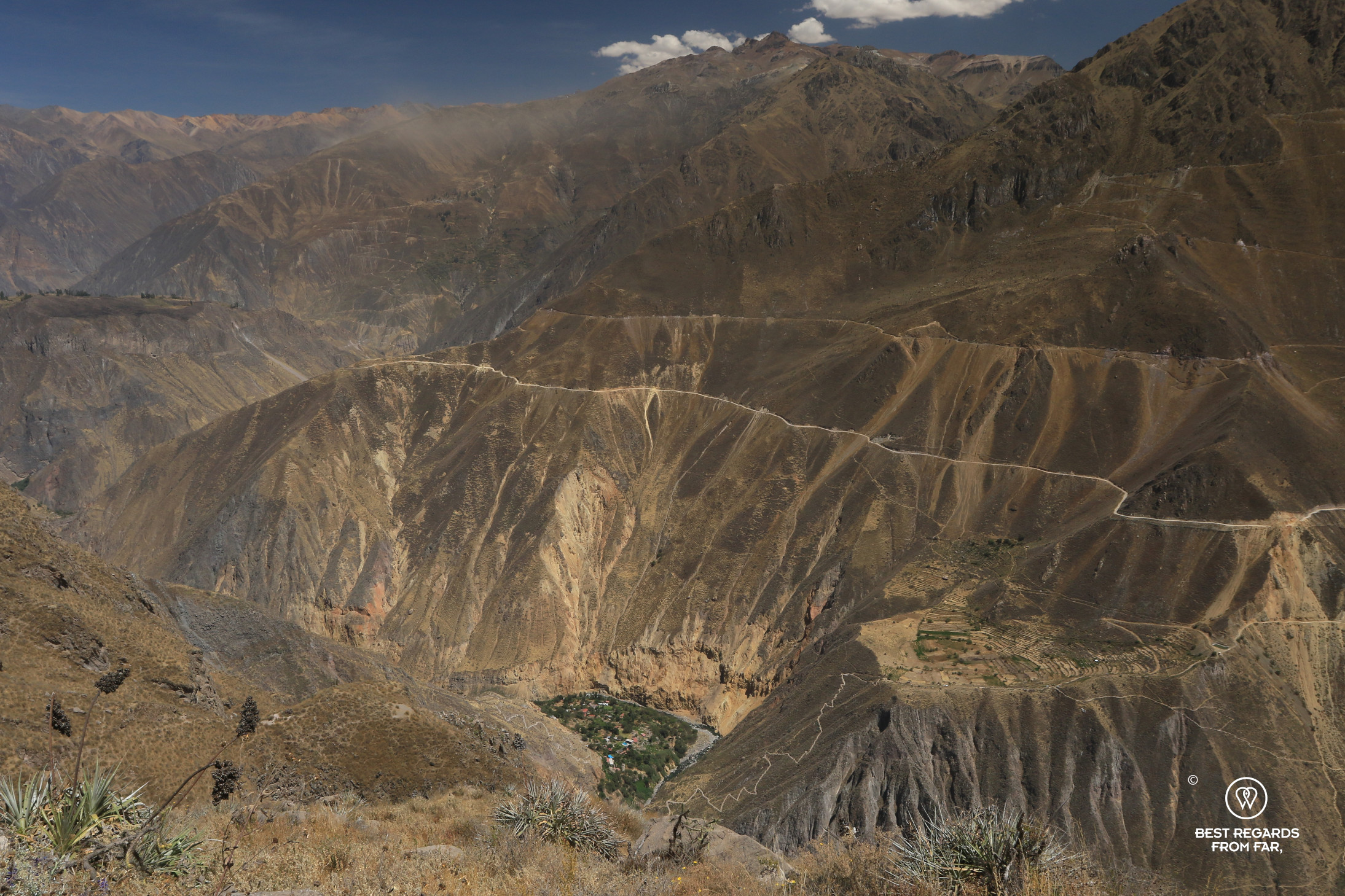 The green oasis of Sangalle at the bottom of the Colca Canyon
