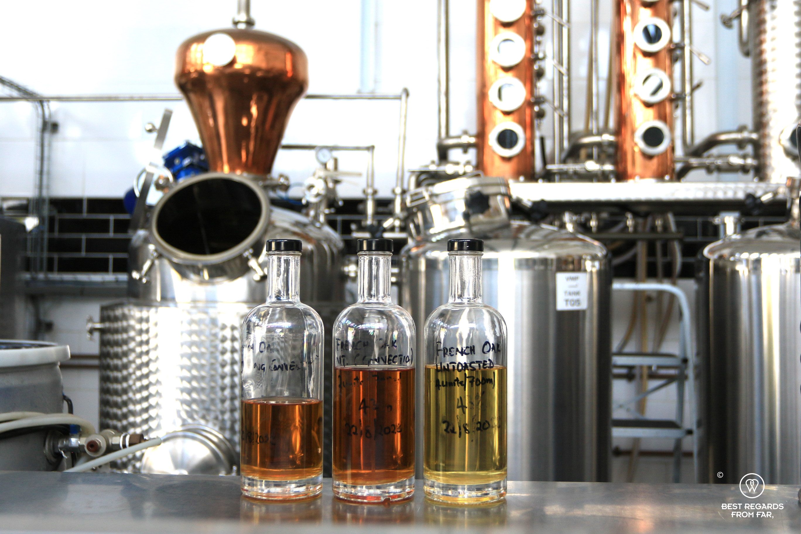 Distilling gins at the Deep South Distillery, Kommetjie