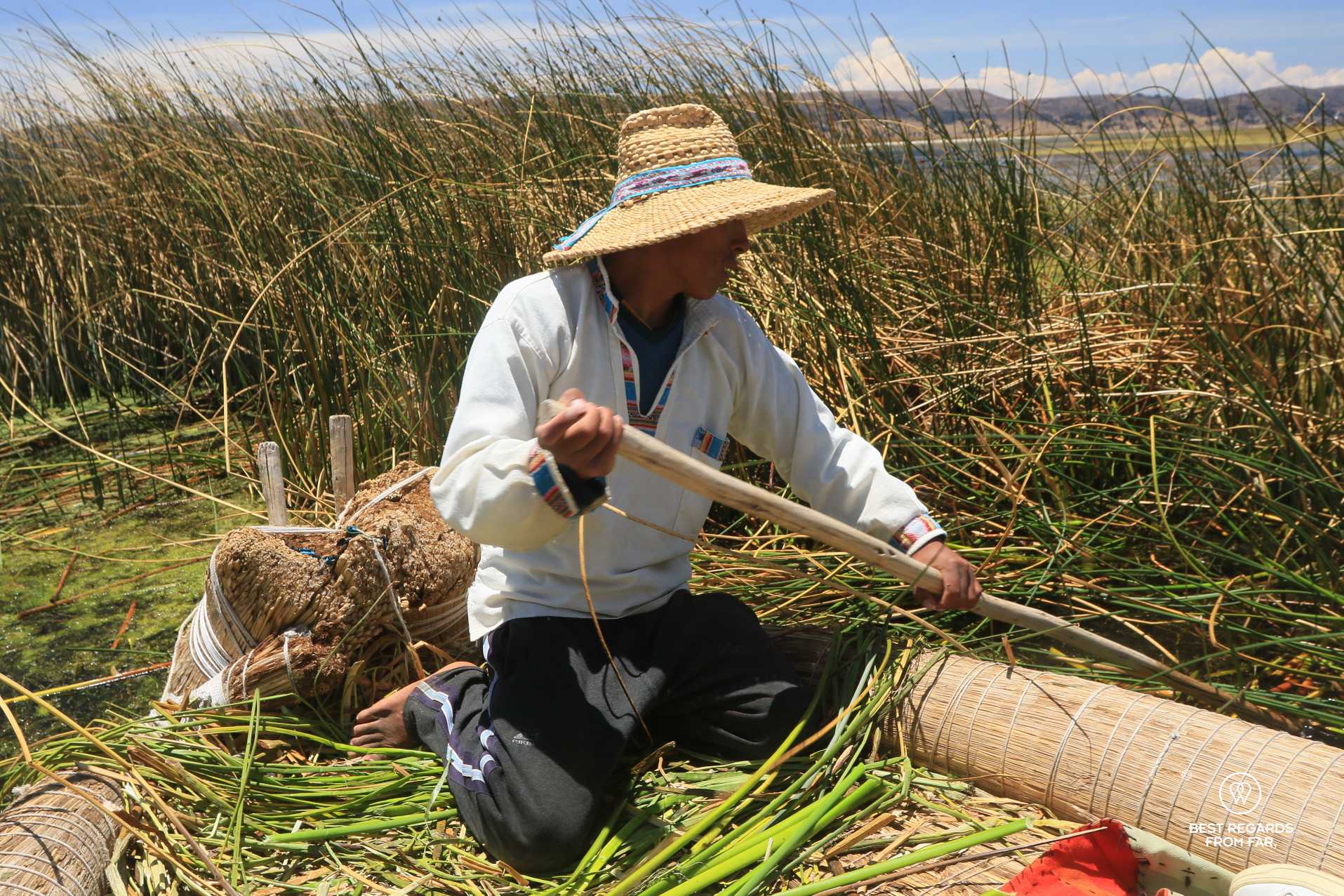 Cutting reeds to build a floating island on Uros Titino, Lake Titicaca