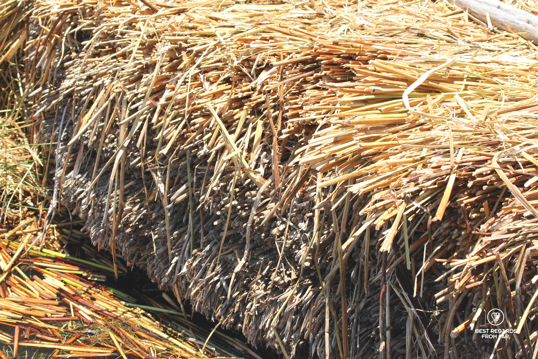 Totora reeds making the floating island of Uros Titino, Lake Titicaca
