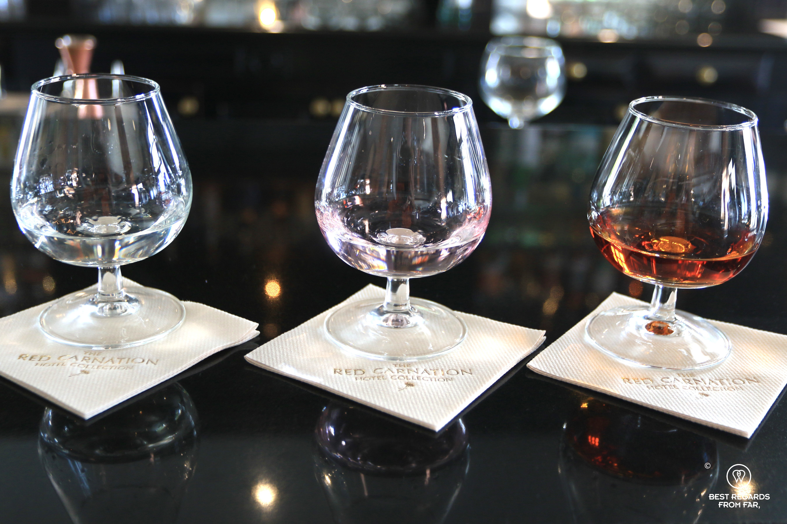 The gin tasting experience at The Leopard Bar, Cape Town