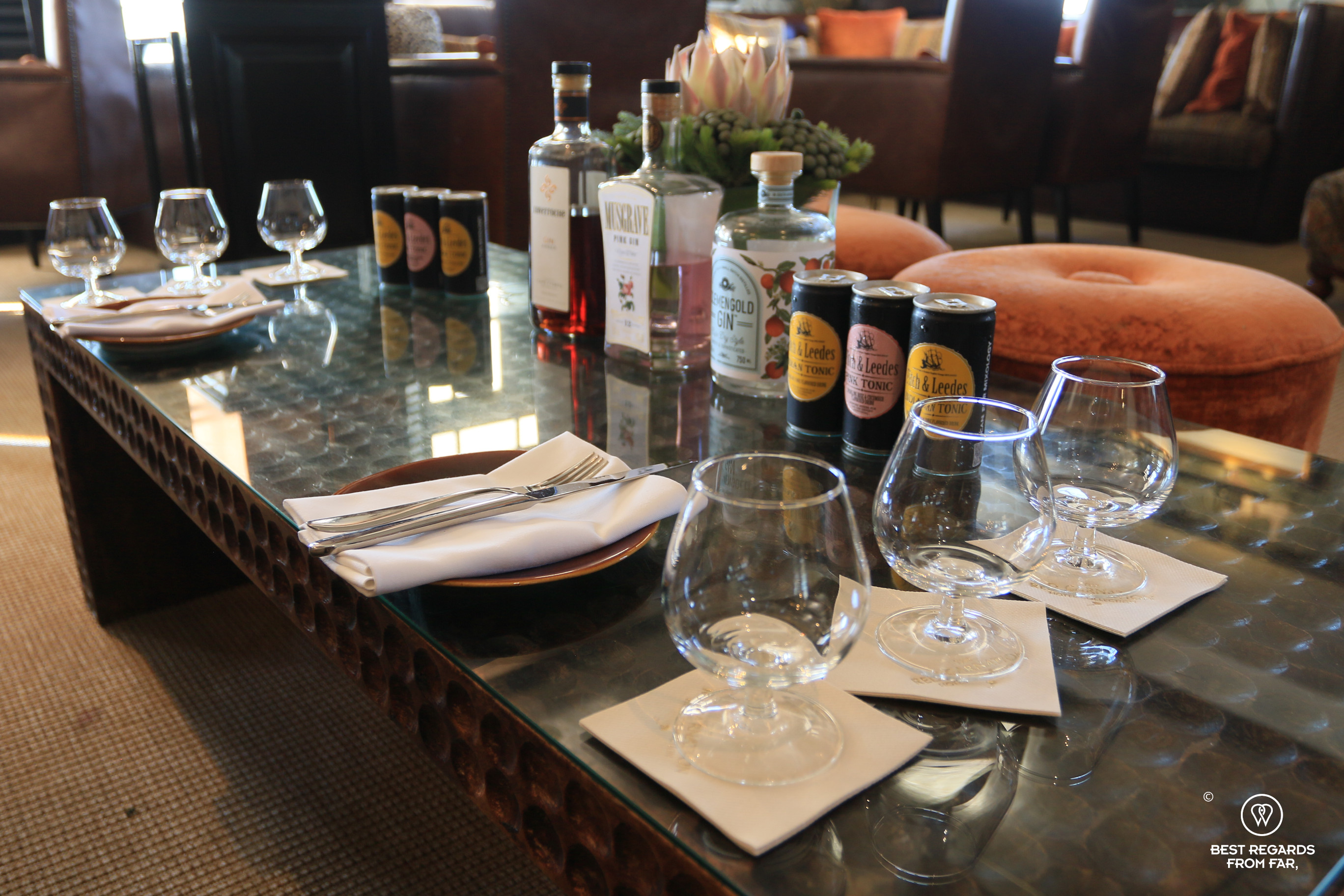 The gin tasting experience at The Leopard Bar, Cape Town