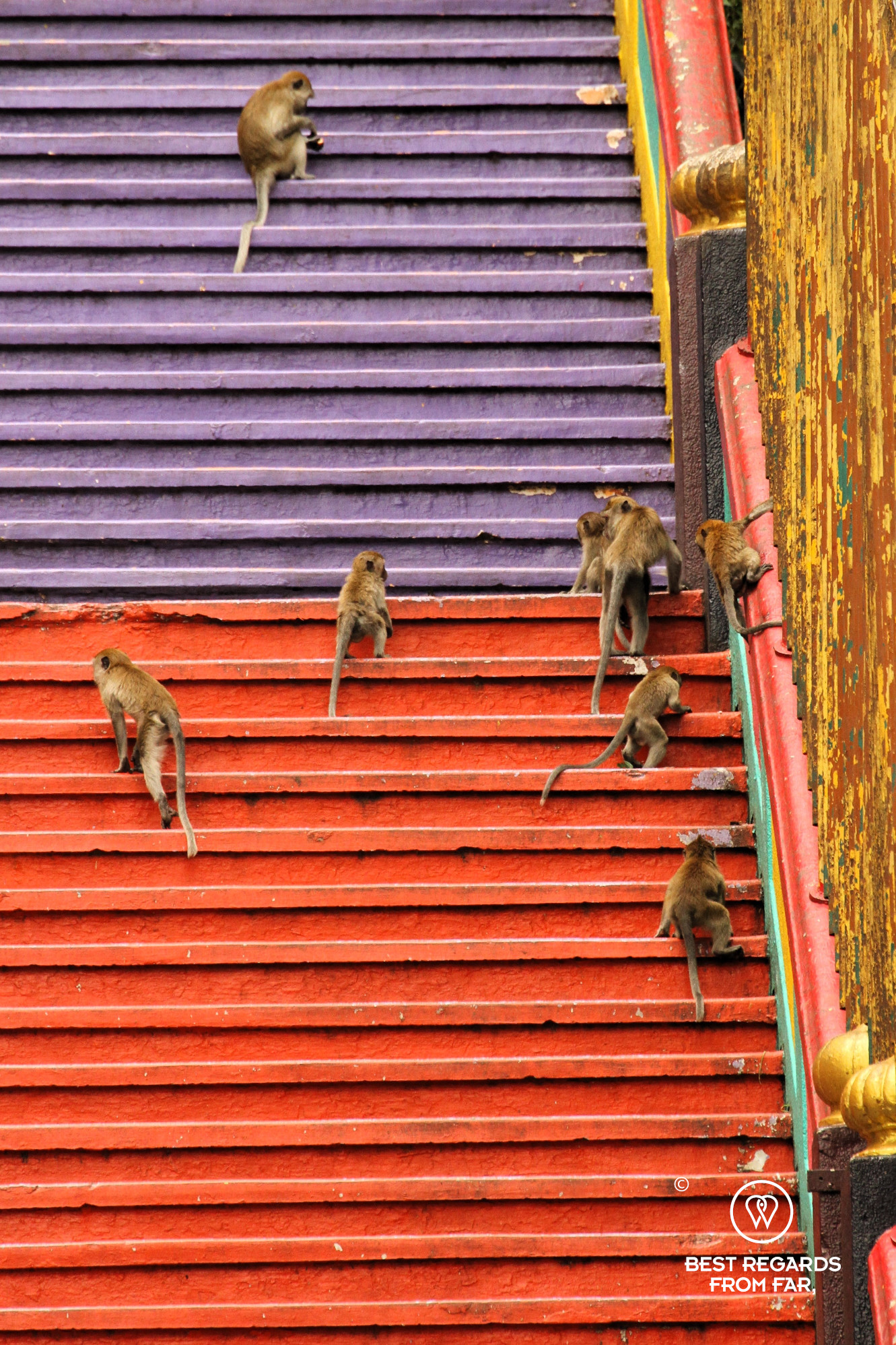 Staircase with monkeys, Batu Caves, Kuala Lumpur, Malaysia