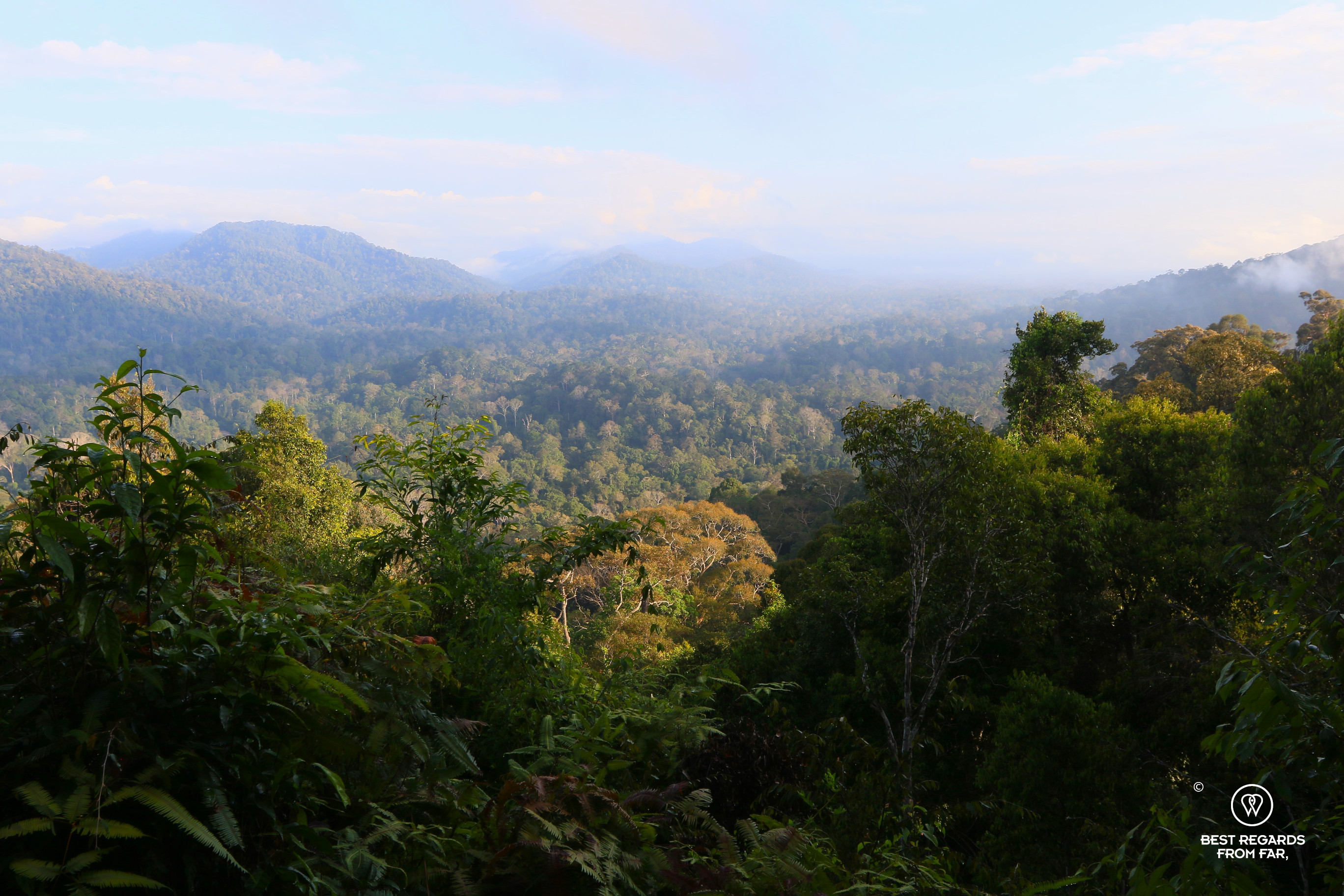 One of world’s oldest rainforests seen from the Bukit Teresek Mountain.
