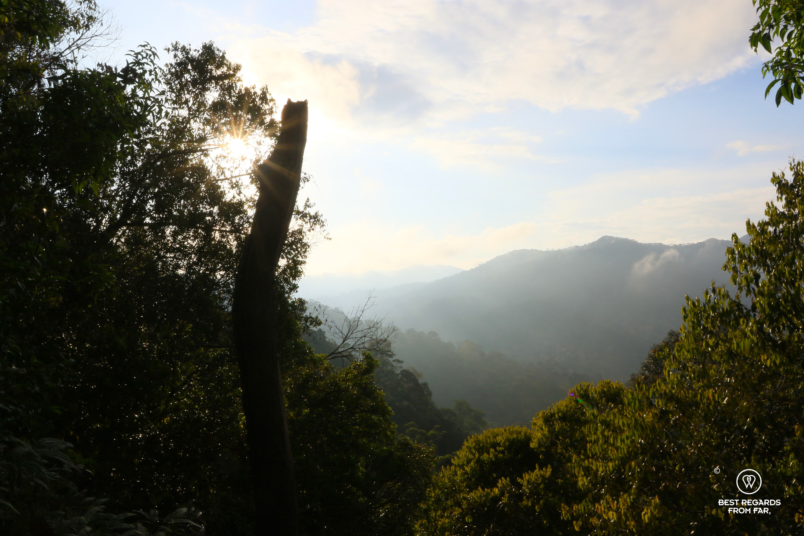 Sunrise over Taman Negara rainforests seen from the Bukit Teresek Mountain.