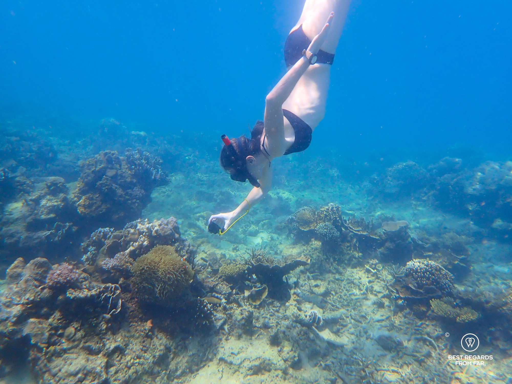 Author Claire Lessiau taking a close-up of clownfish in the corals with a go-pro during a snorkeling outing.