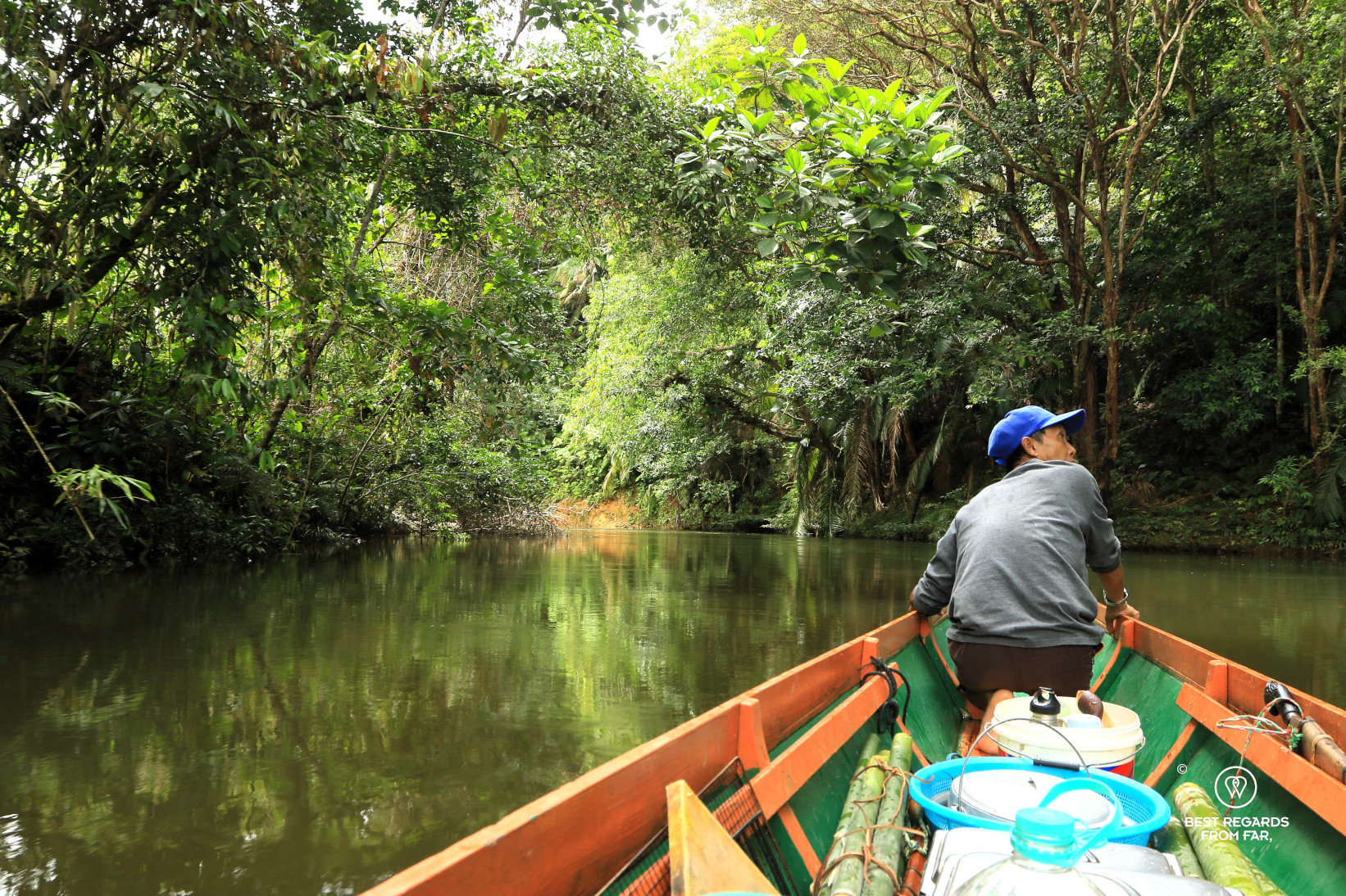 Local Iban man scanning the tree tops for orangutans from a long-tail boat on a river.