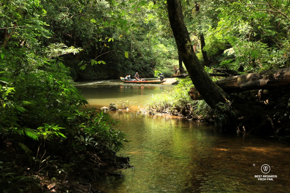 Long-tail boat on a shallow river surrounded by jungle.