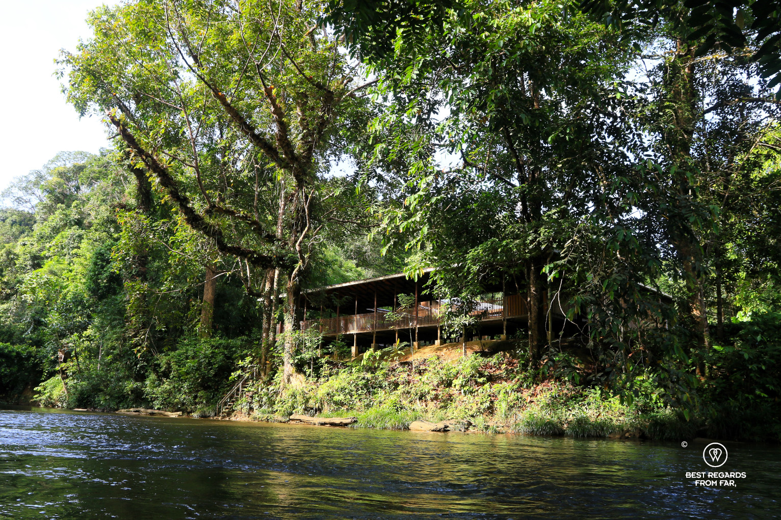 The Nanga Sumpa Lodge along the river, deep in the jungle of Borneo.