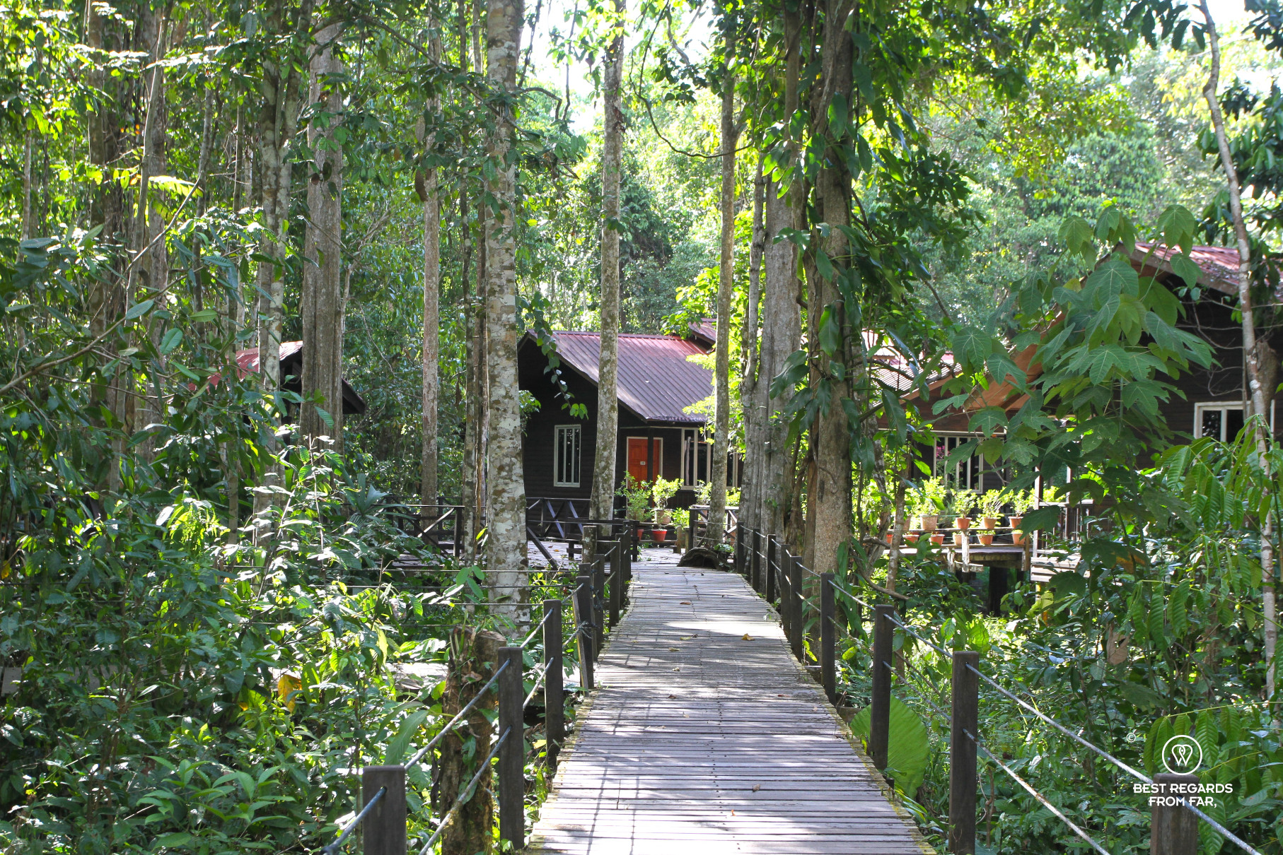 Boardwalk leading to Abai S I Tours lodge amongst the rainforest of Borneo