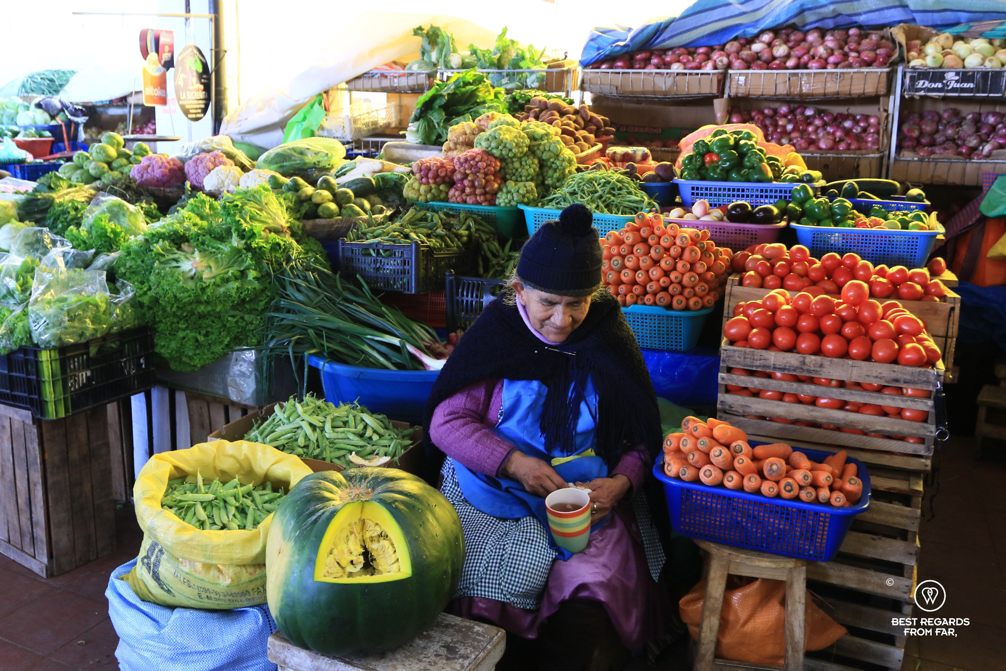Old Bolivian woman by her colorful vegetable stall in the Mercado Central of Sucre.
