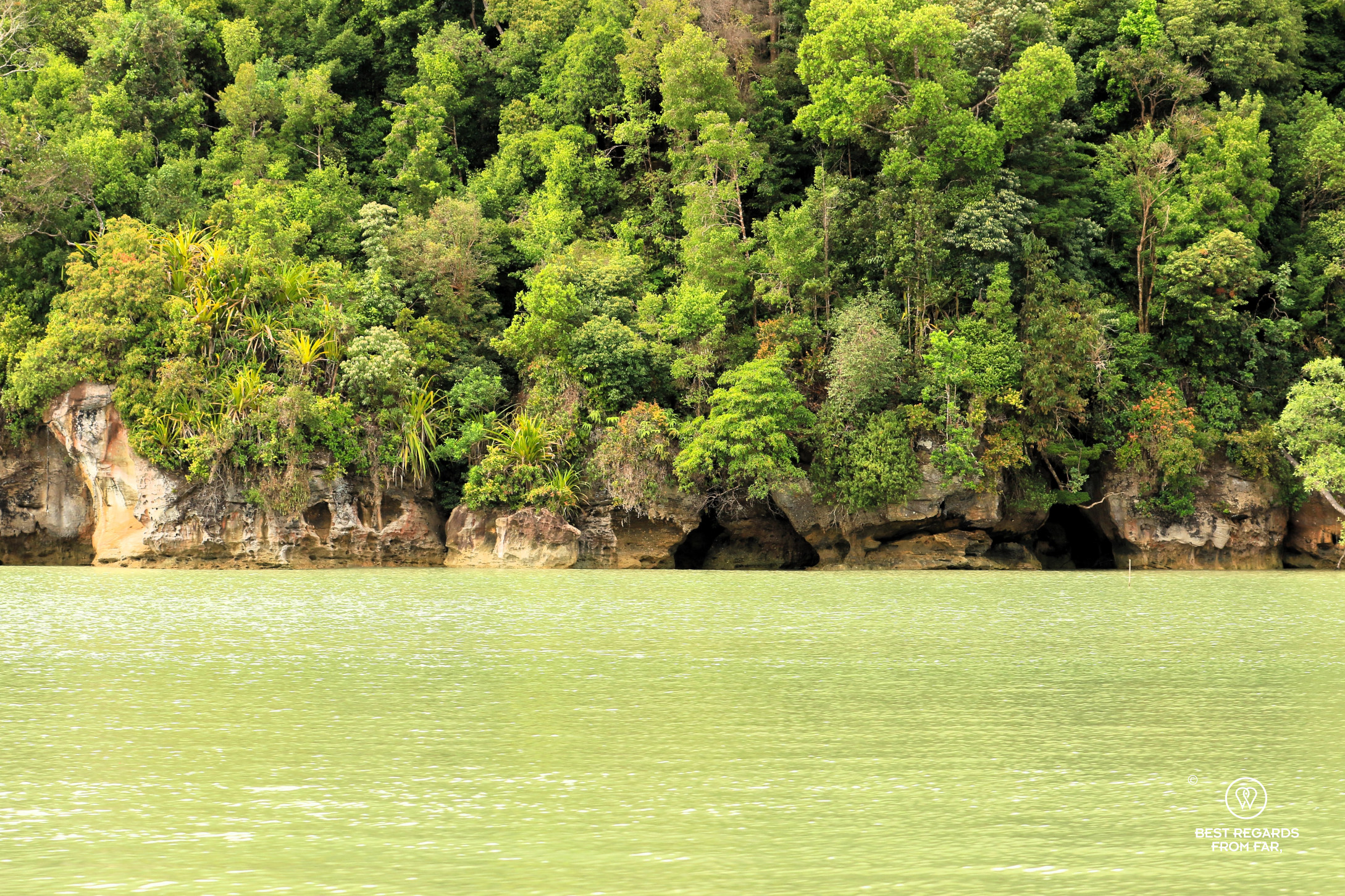 The lush Bako NP coastline with limestone formations, Borneo.