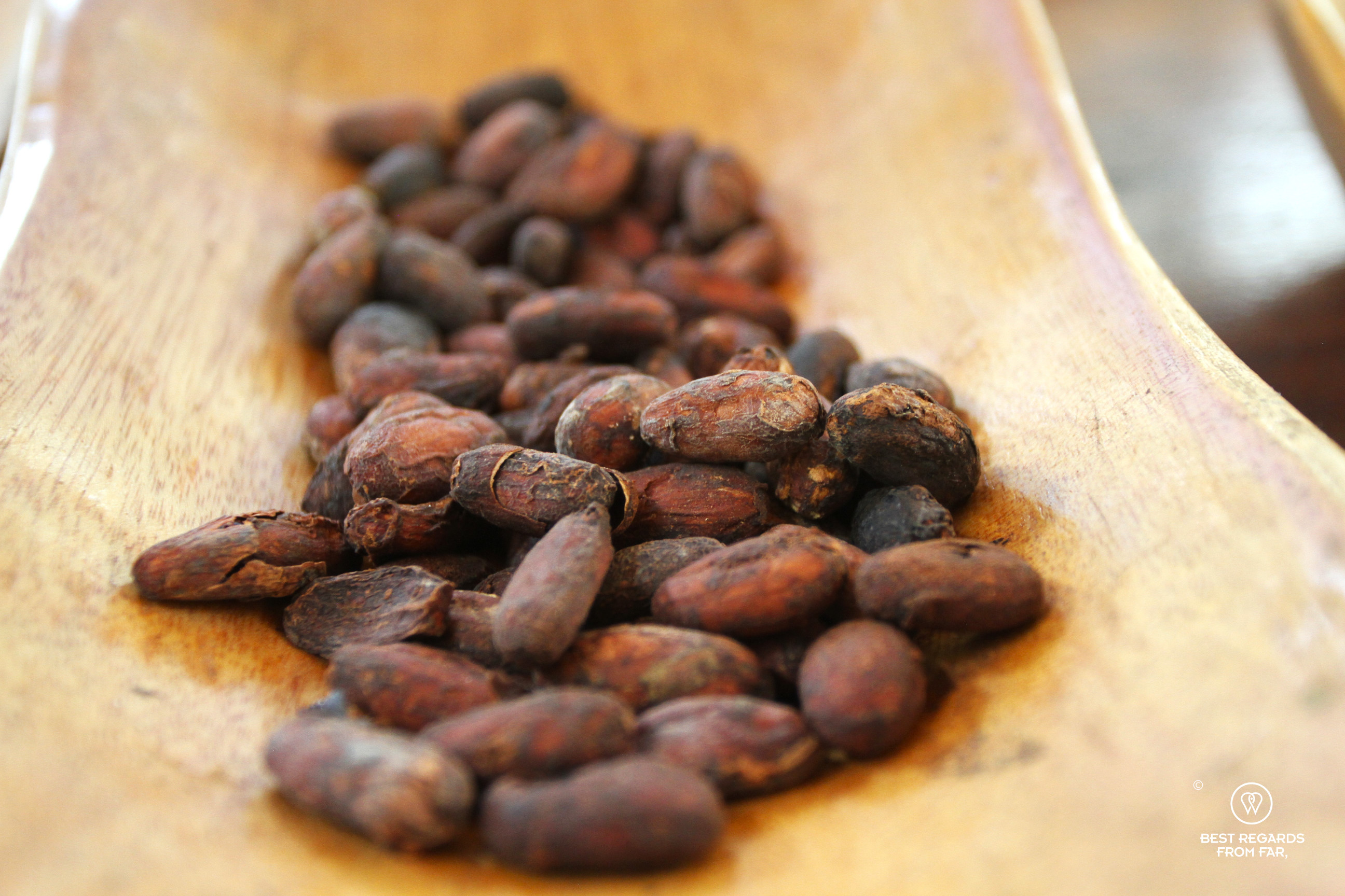 Roasted cacao beans in a wooden plate.