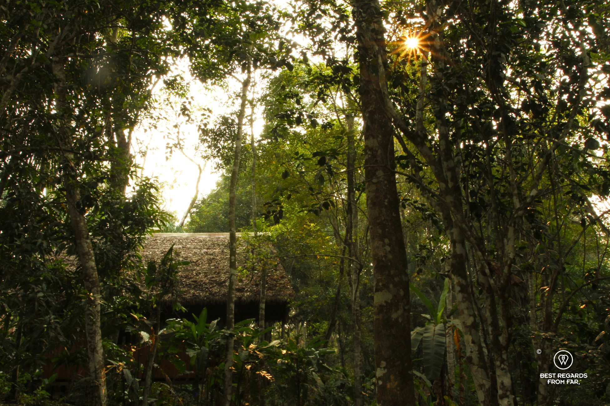 Bungalow on the Hacienda Herrera in Puerto Maldonado.