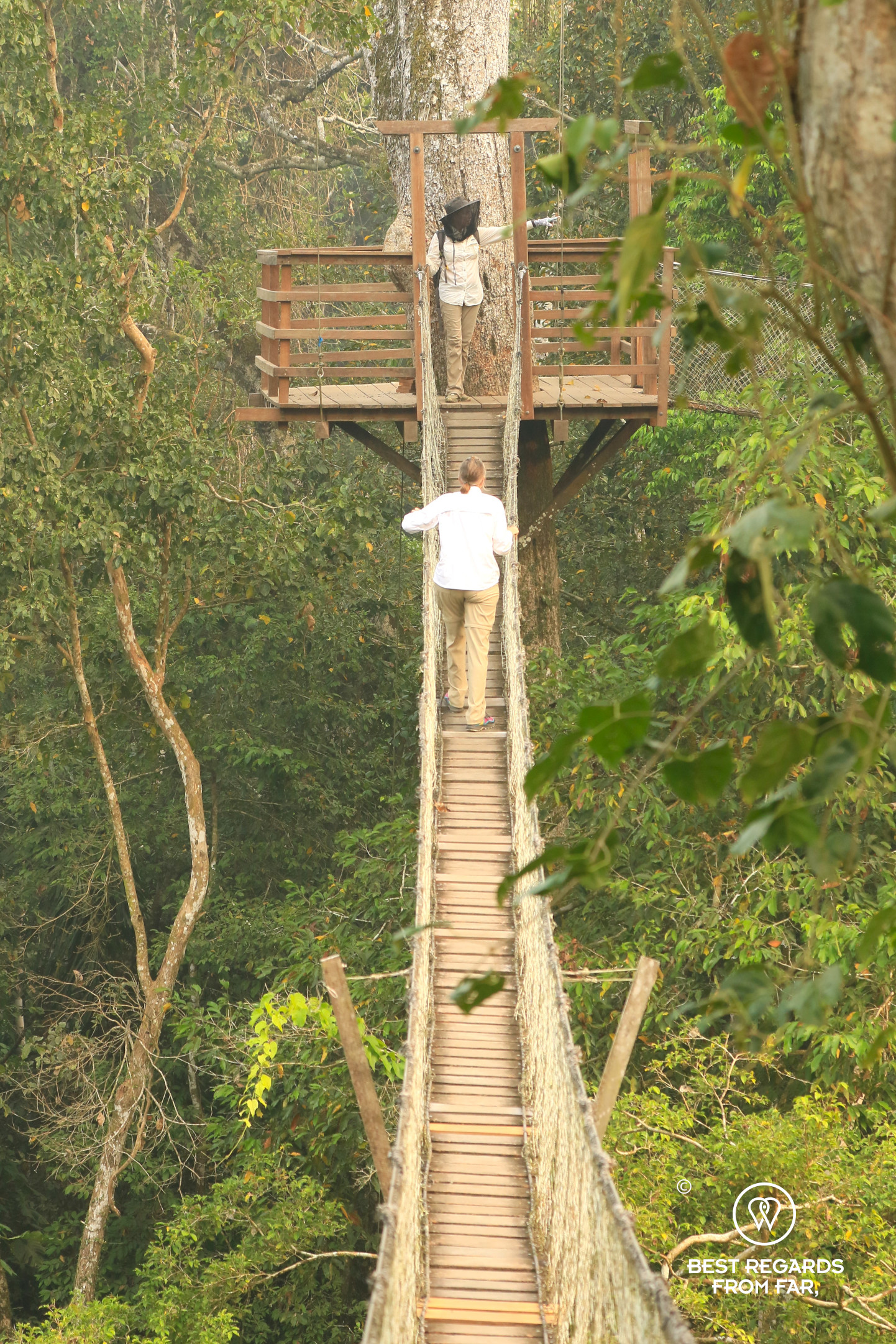 Inkaterra Canopy above the Amazon forest.