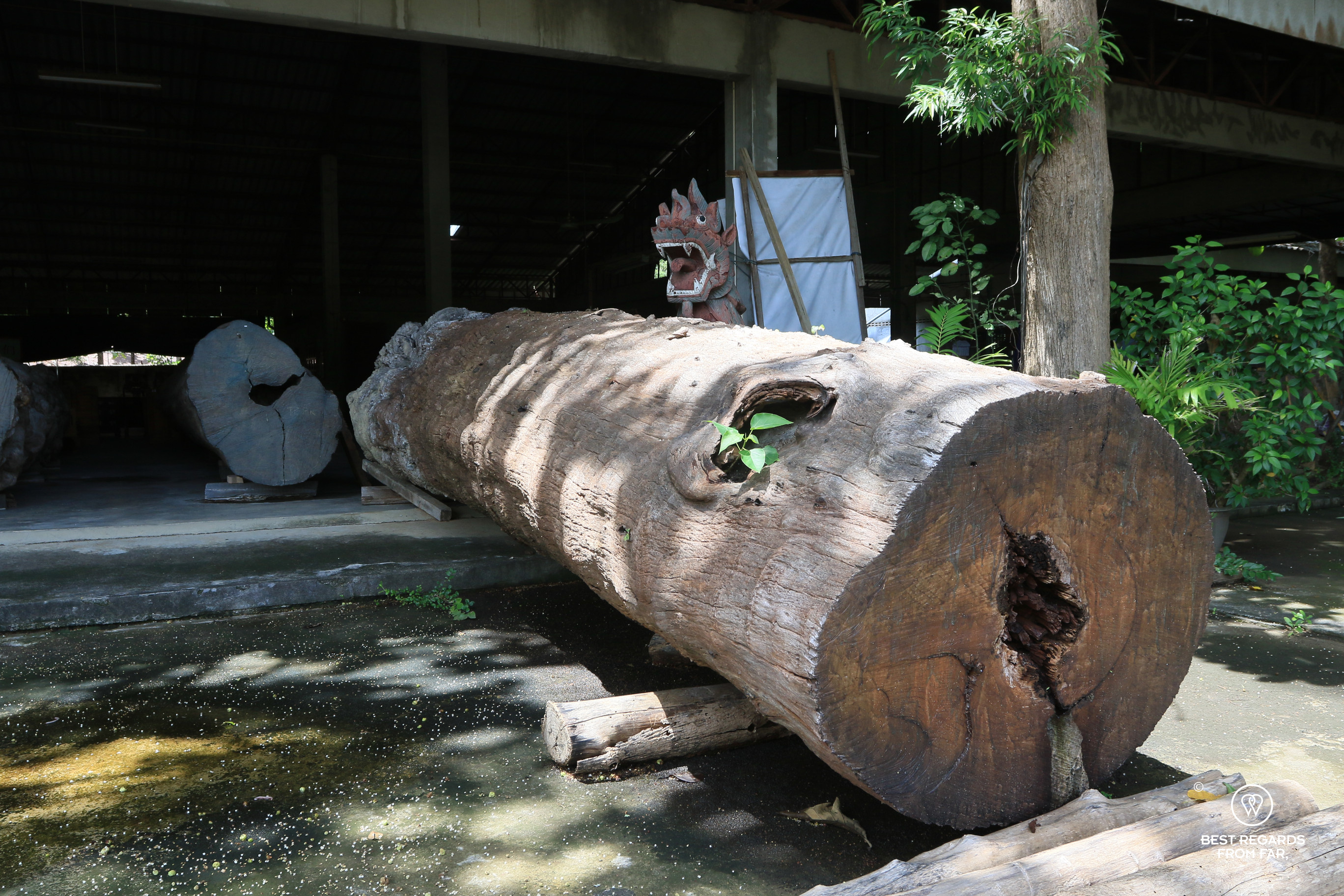 Trunk for wood carving.