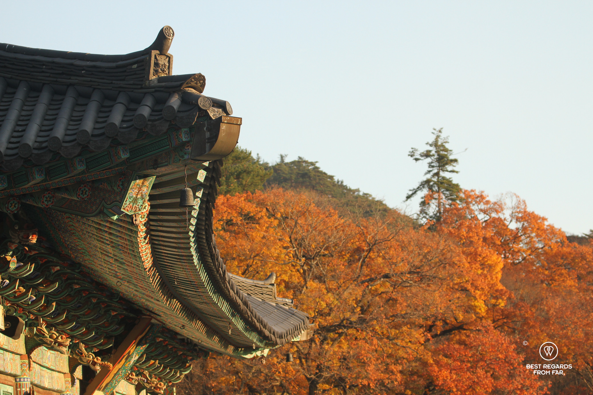 Rooftop and fall colors at Haeinsa temple.