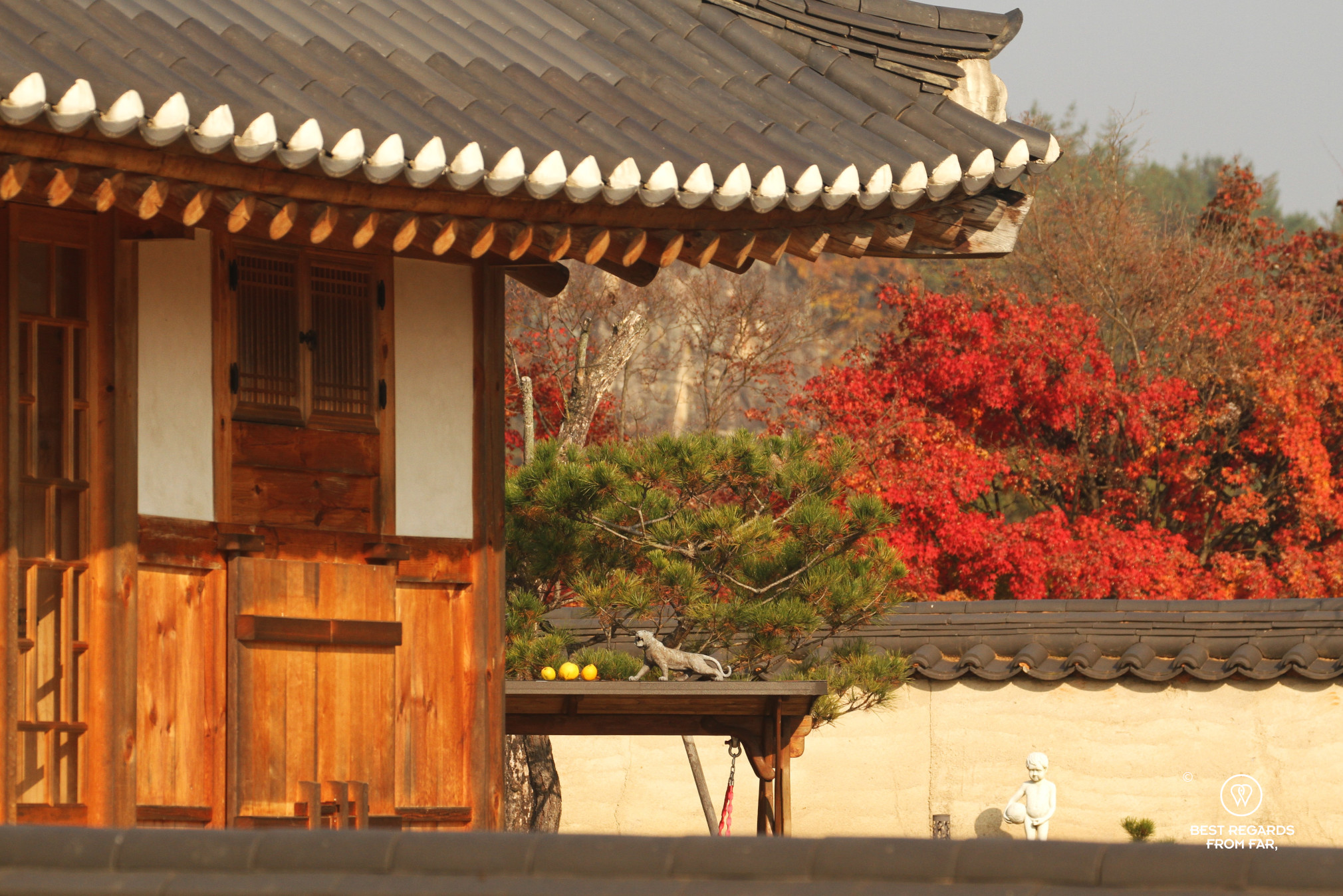 Traditional hanok houses in Hahoe folk village in the fall with a red foliage.