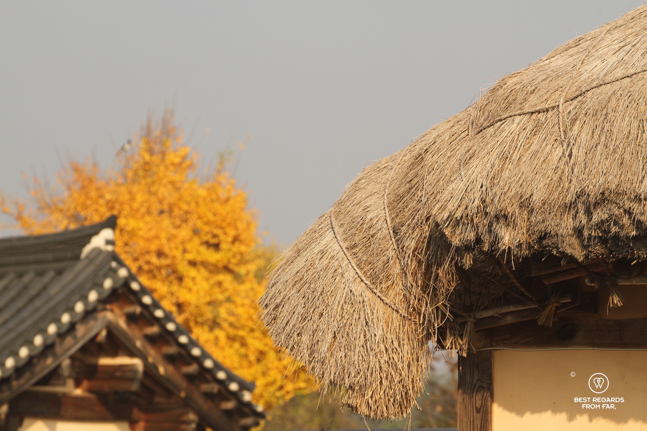 Thatched and tiled roofs on the traditional hanok houses in Hahoe folk village.