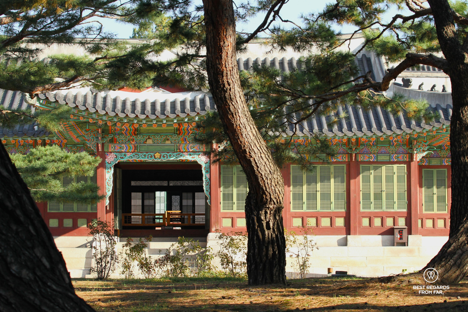 Pavilion of the Changdeokgung Palace with pine trees in Seoul.