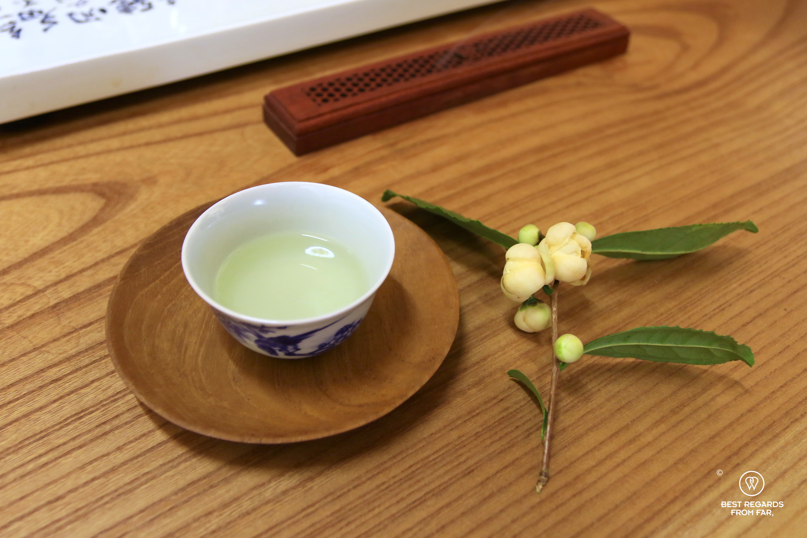 Tea tree flower by a tea cup at Gyodong Tea Garden in Jeonju.
