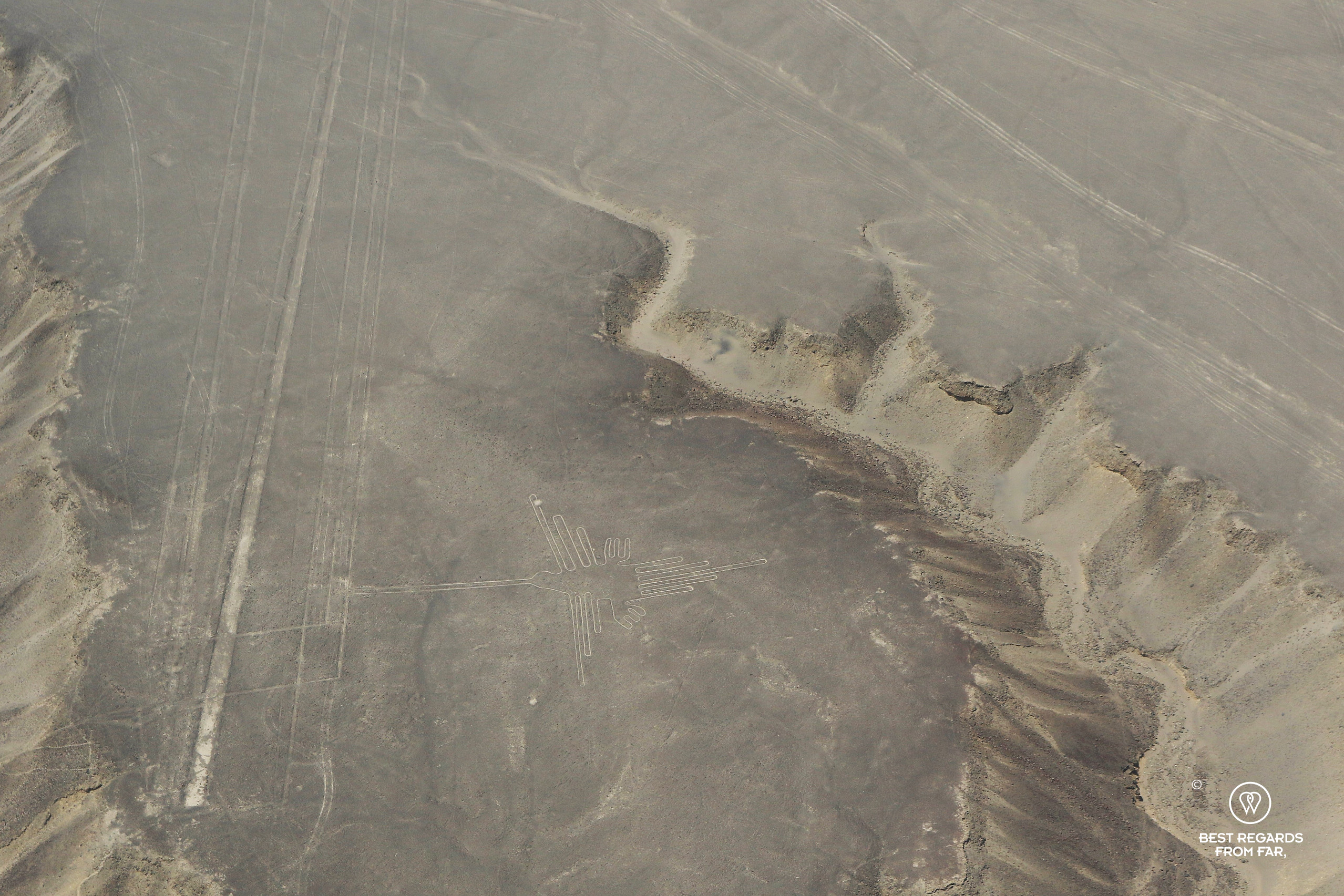 Nazca Lines: the Colibri seen from the sky.