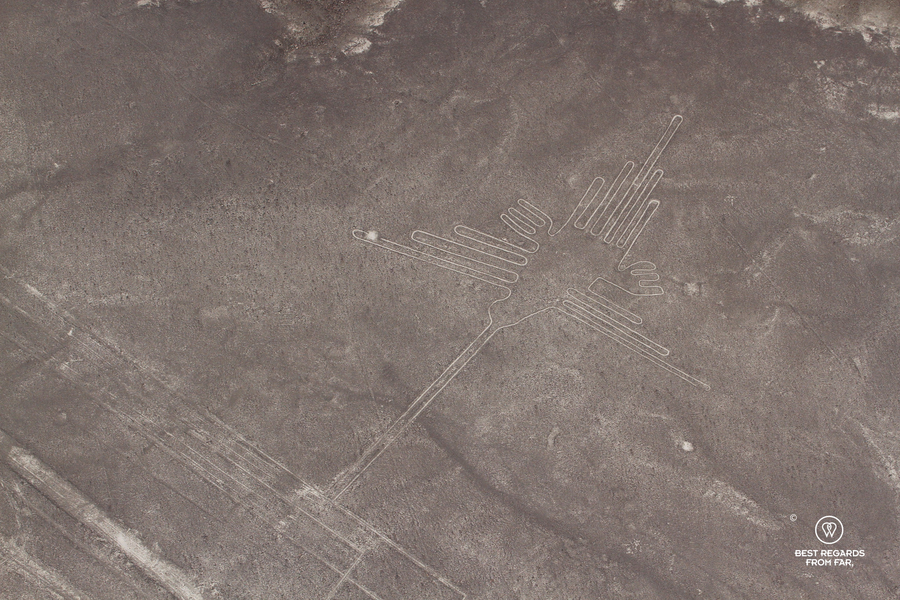 Nazca Lines: the Colibri seen from the sky.