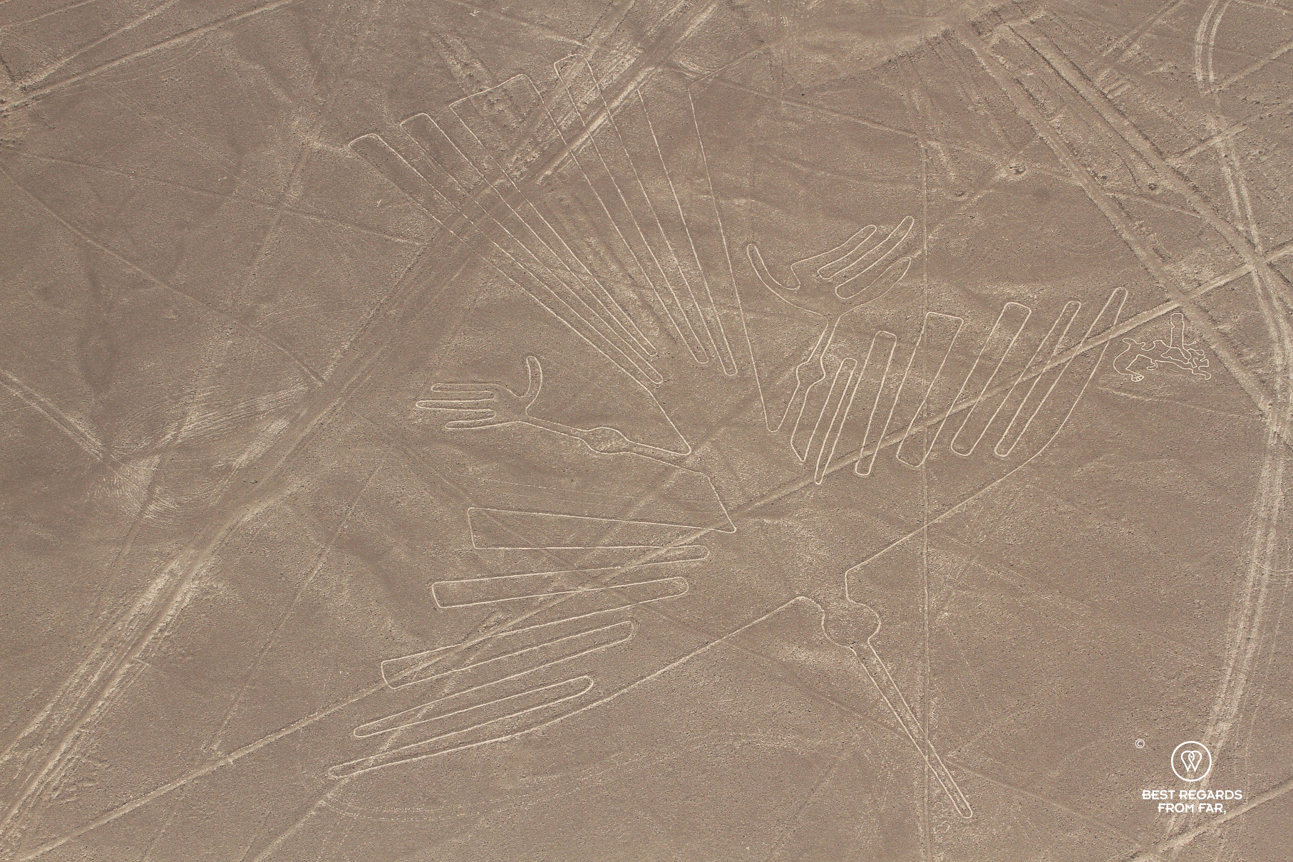 Nazca Lines: the Condor seen from the sky.