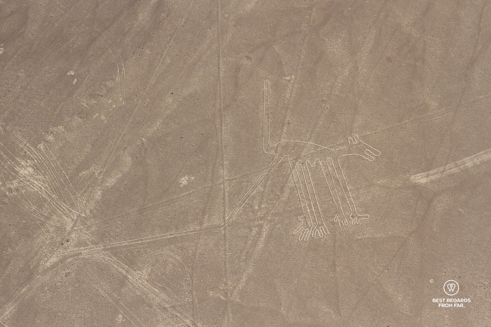 Nazca Lines: Dog seen from the sky.