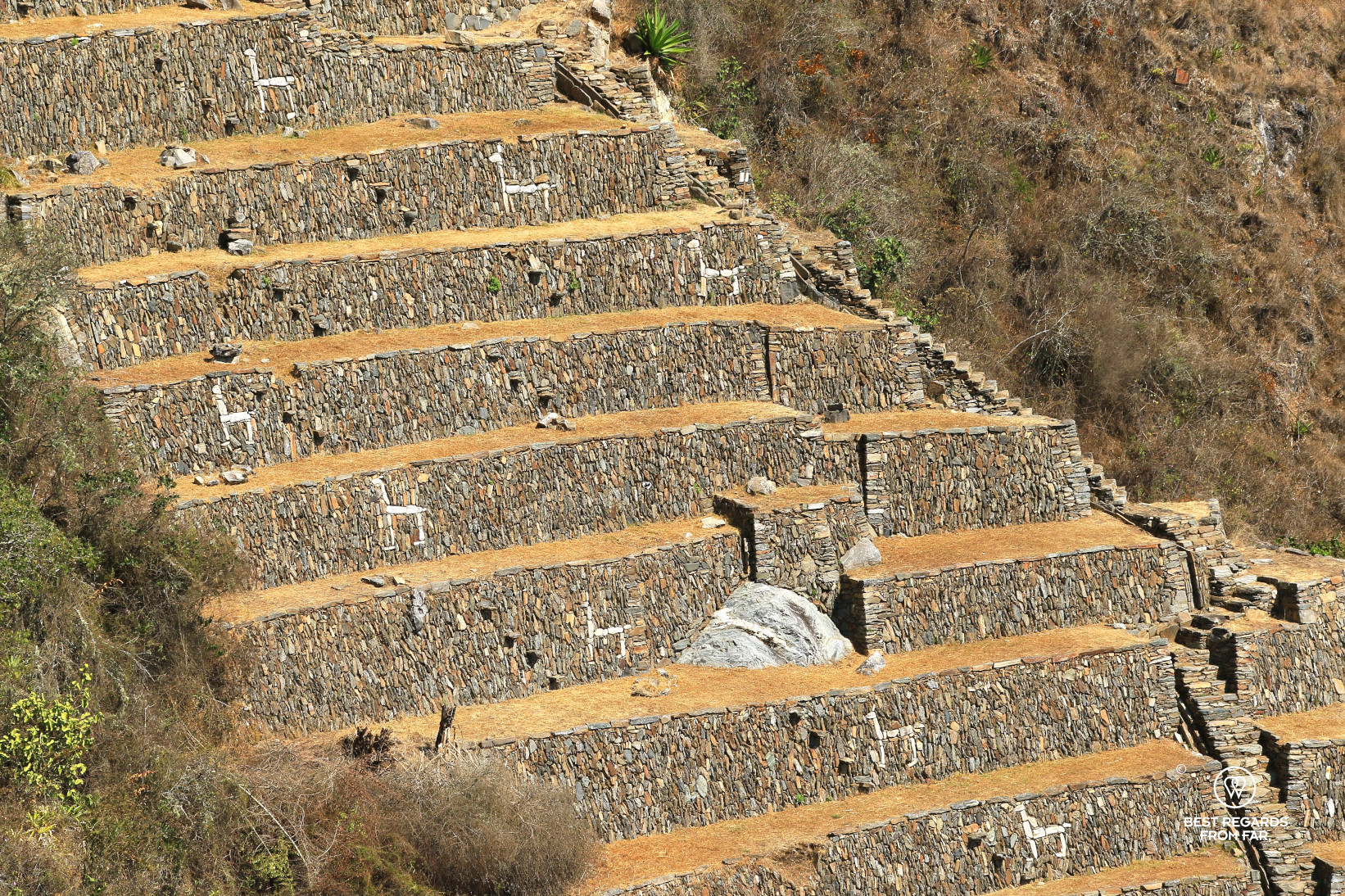 The Llama terrasses in Choquequirao.