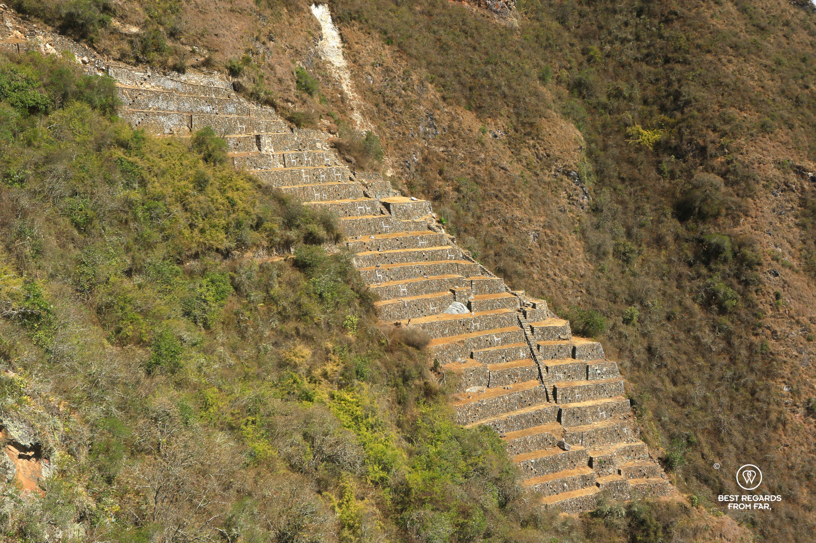 The Llama terrasses in Choquequirao.