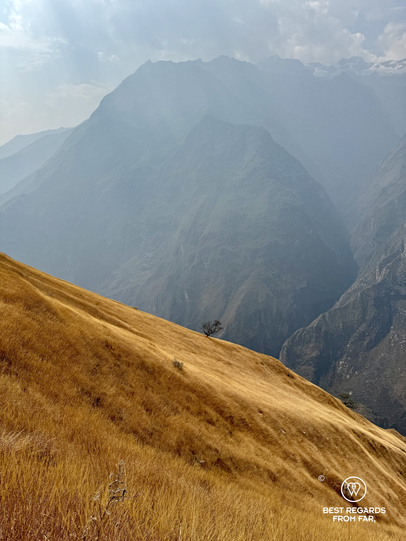 Yellow grass along mountain slopes and rugged mountains in the background on the way to Choquequirao.