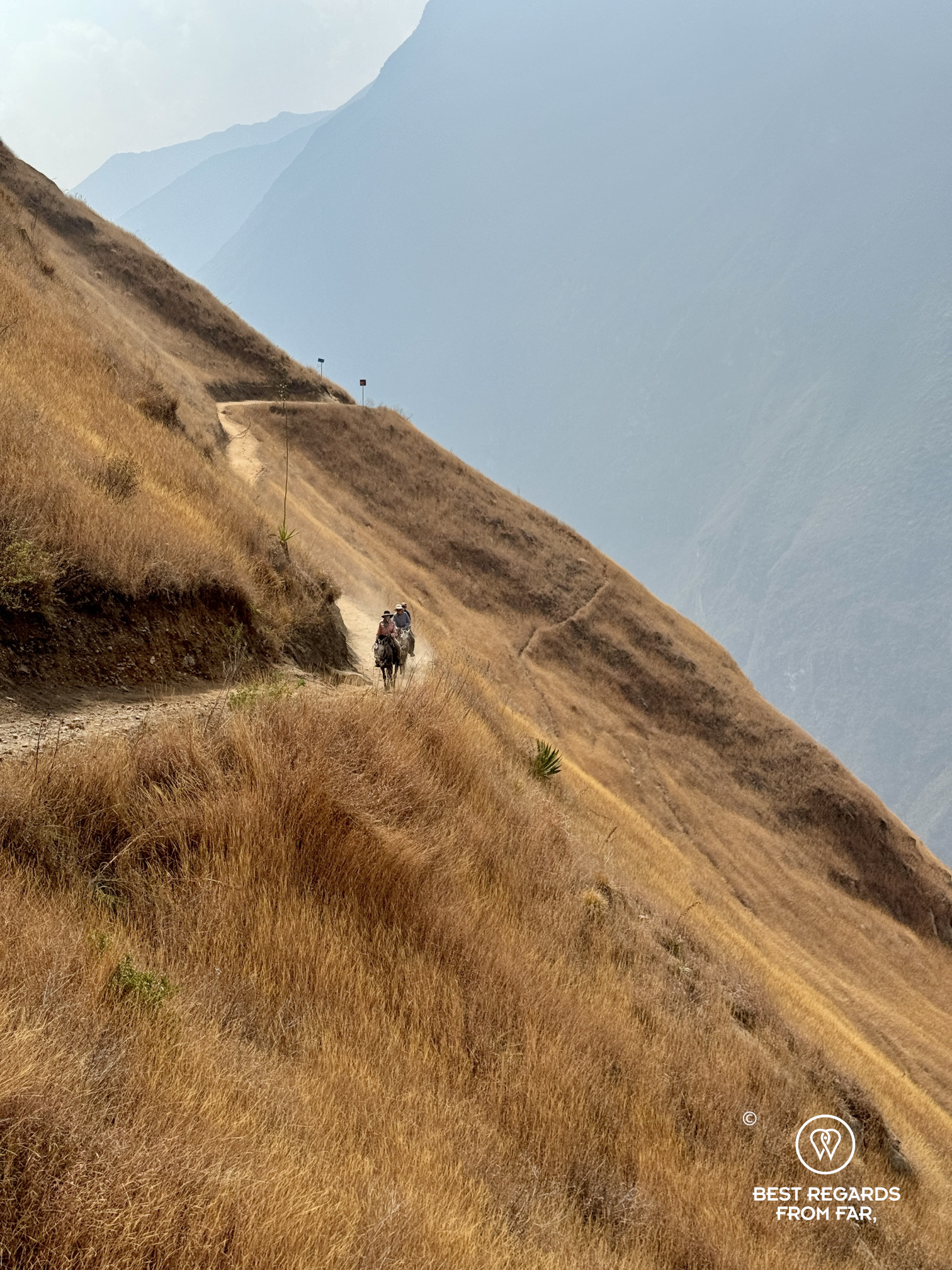 Riders coming back from Choquequirao on the trail among yellow grass along mountain slopes.