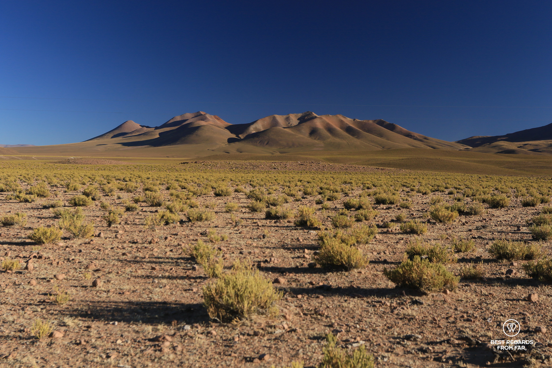 The Bolivian Altiplano.