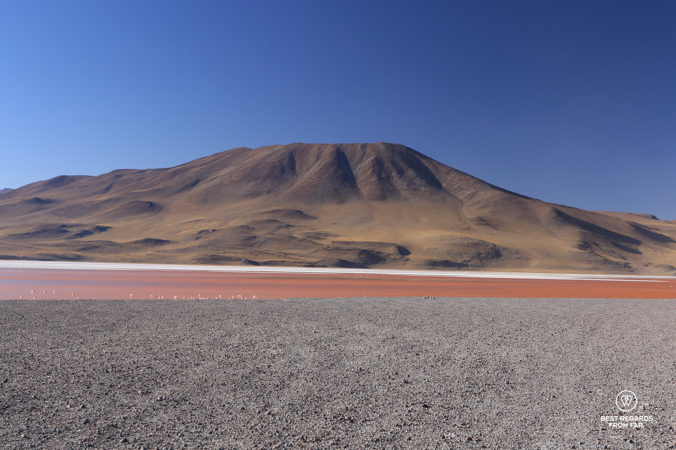 The pink Laguna Colorada in Bolivia with a volcano in the background.