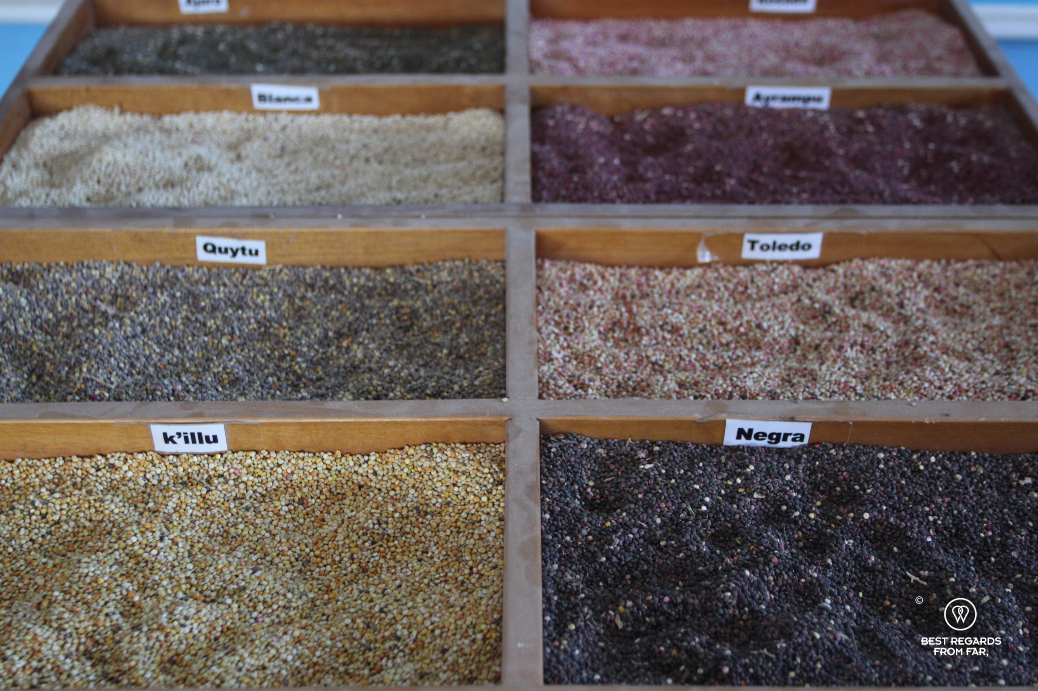 Different types of quinoa from Bolivia.