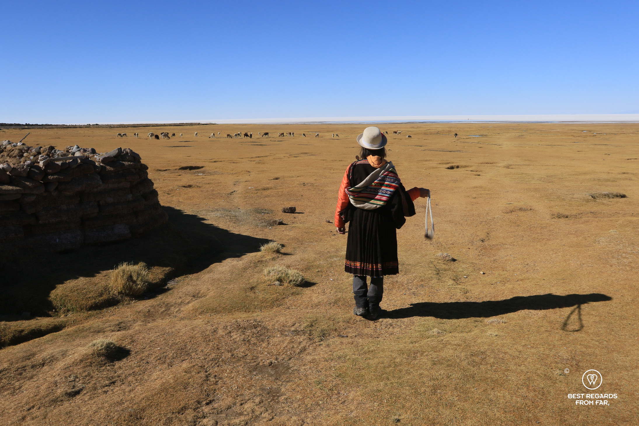 Llama herding by the Salar de Uyuni in Bolivia.